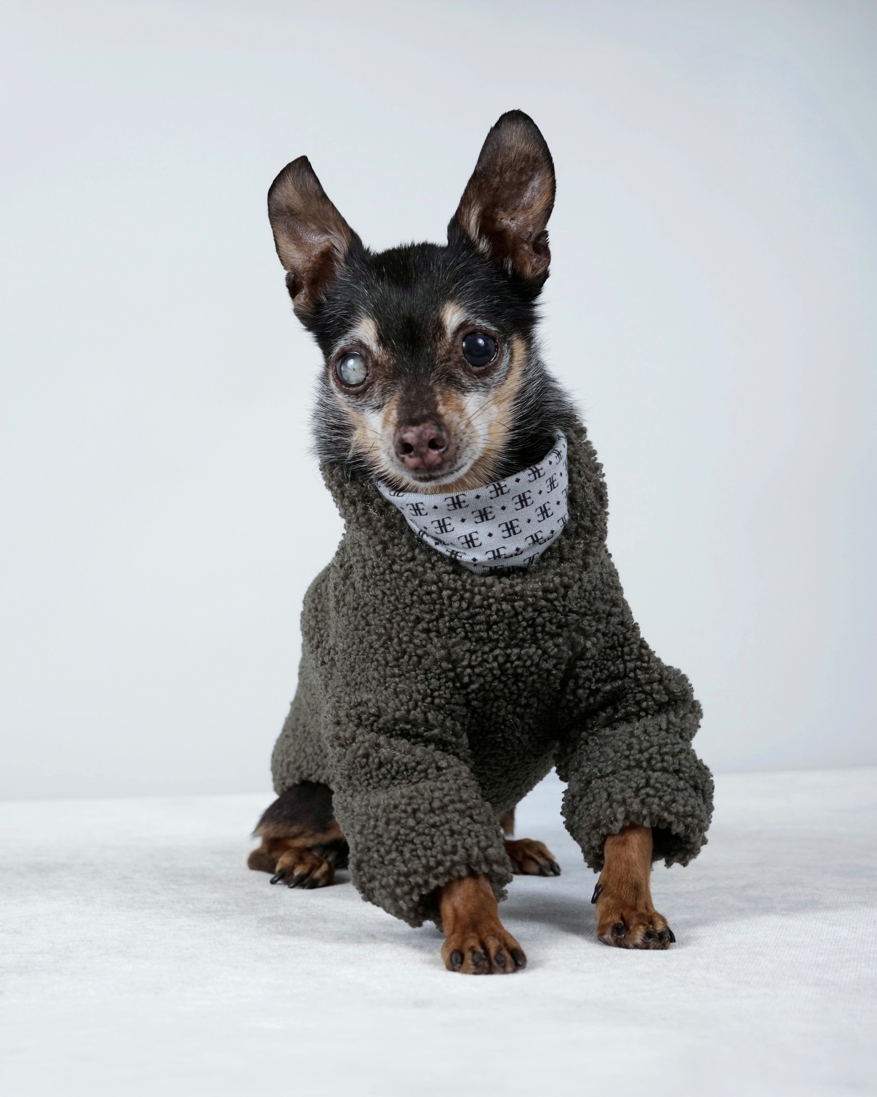 Bavente Pullover