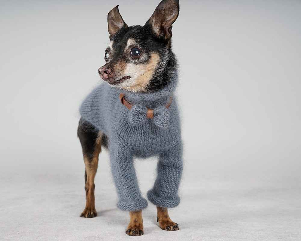 Small black and tan dog in a blue grey mohair sweater with a bow on a leather collar