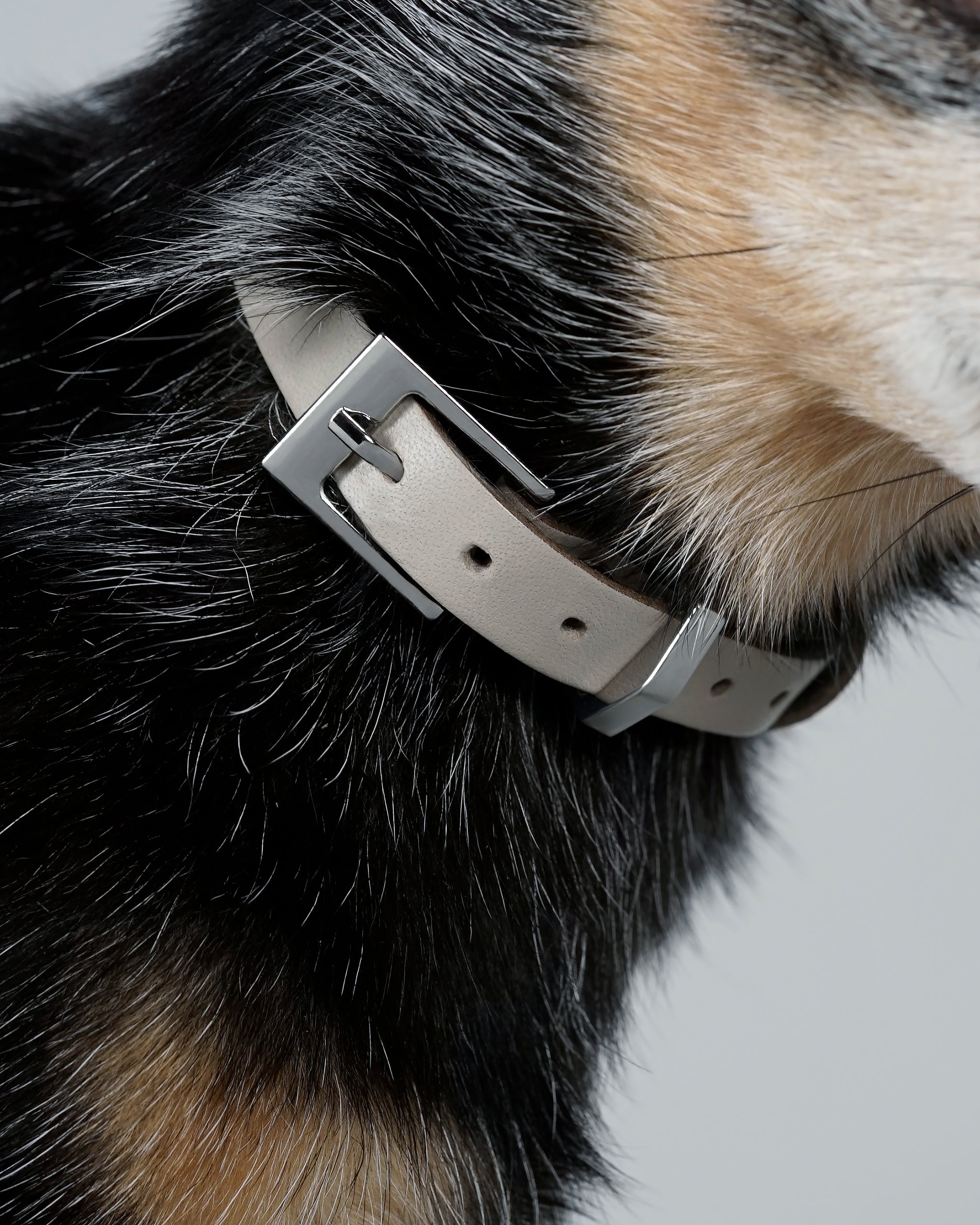 Langylia Collar