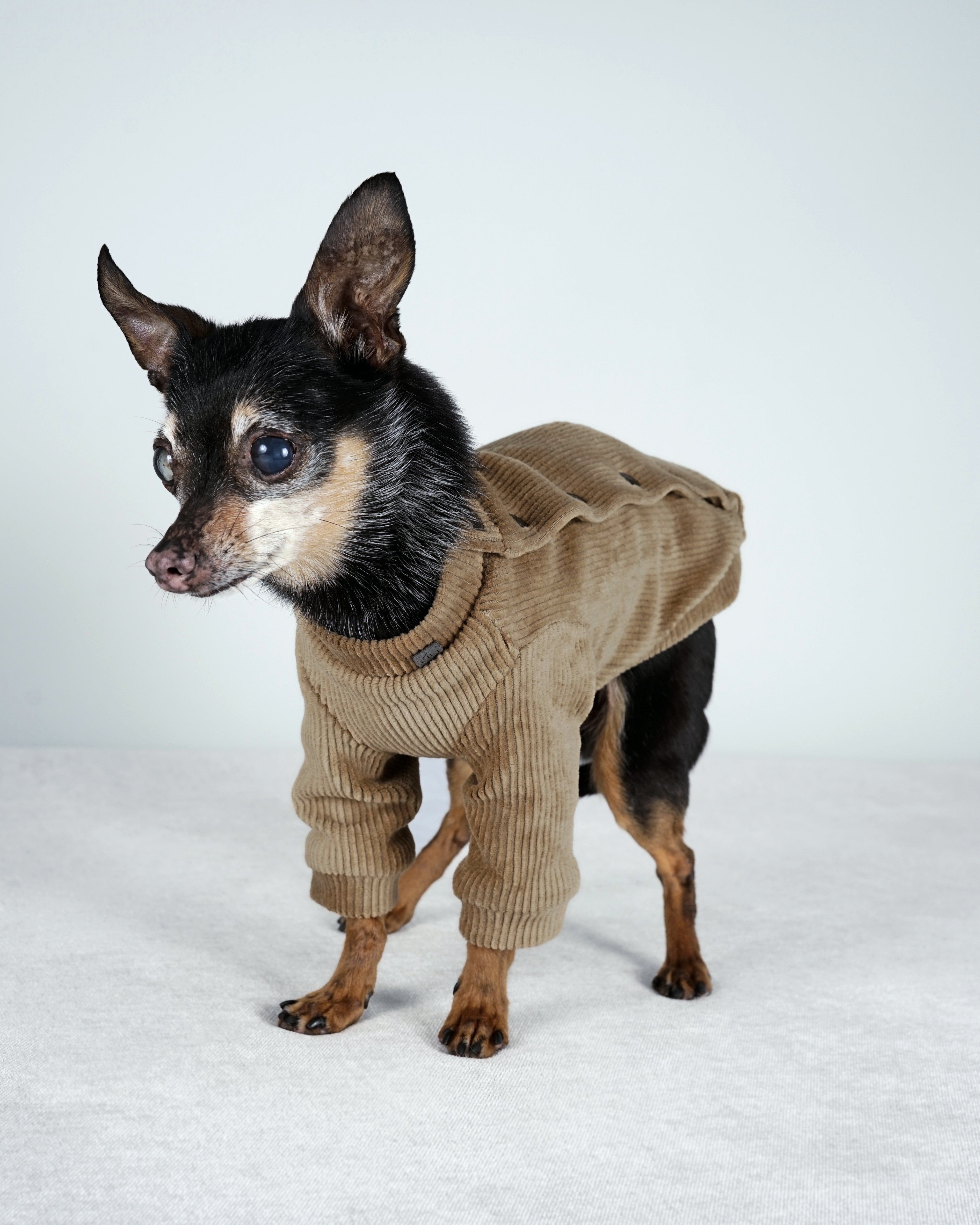 Corven Bomber