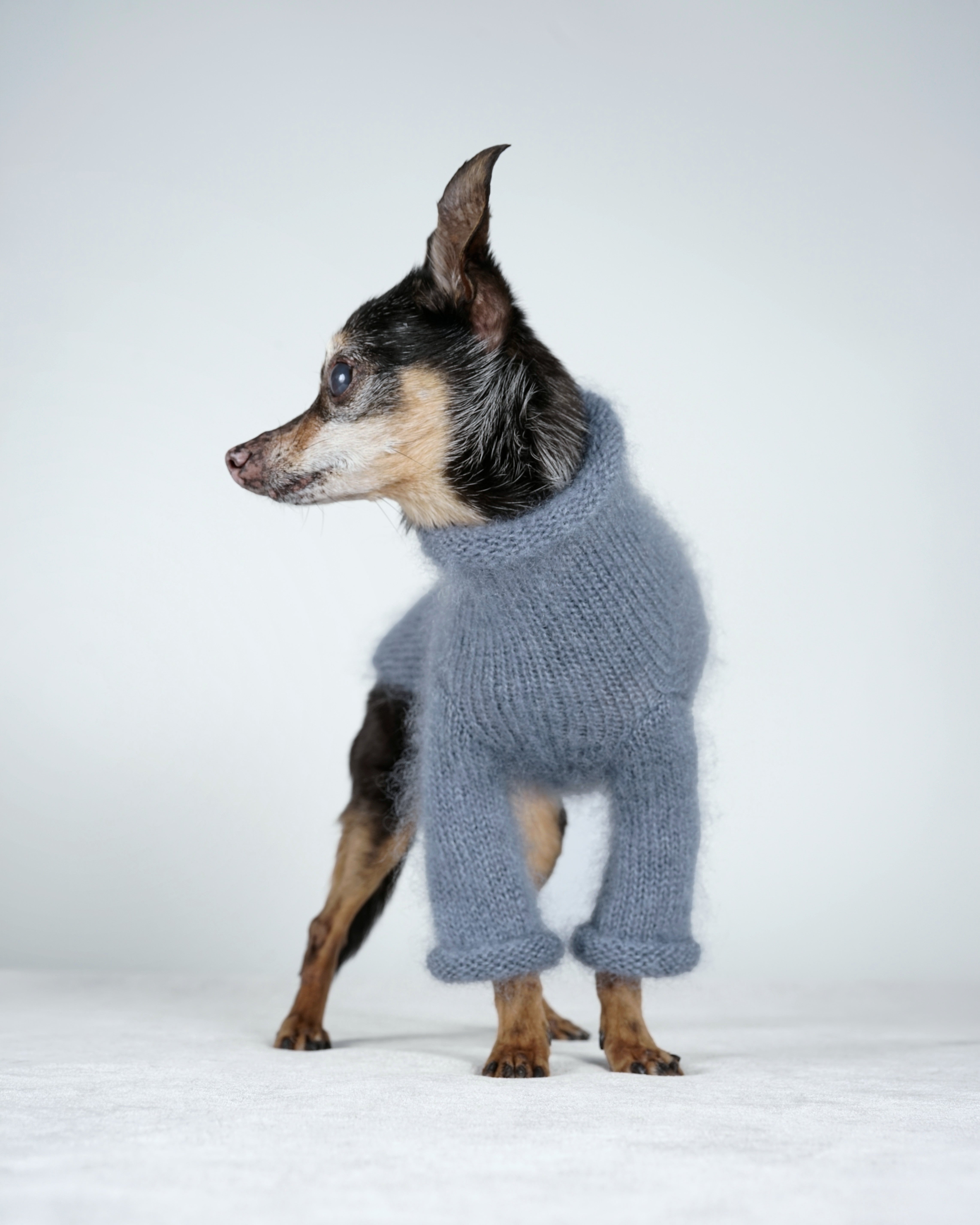 Silmoire Sweater