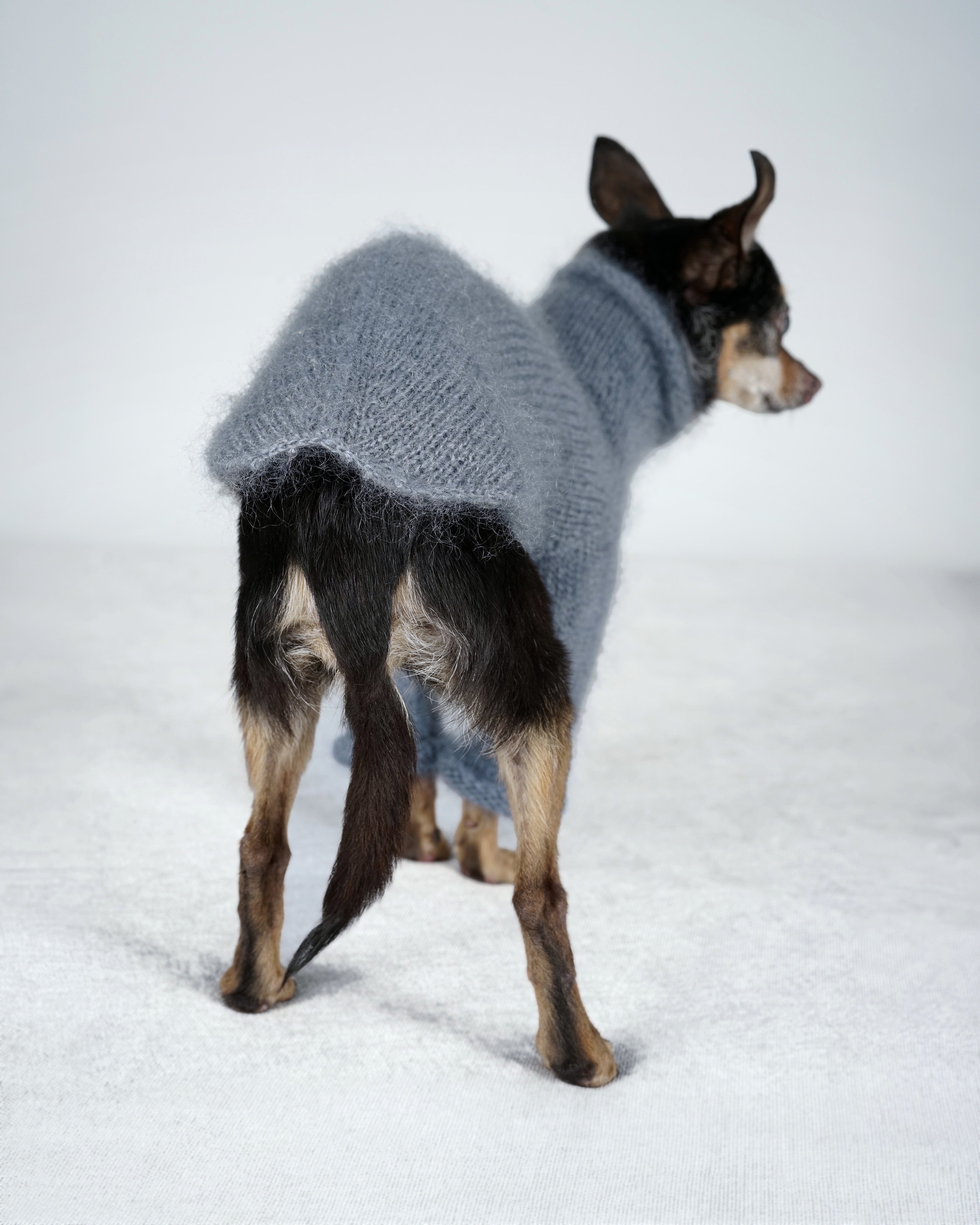 Silmoire Sweater