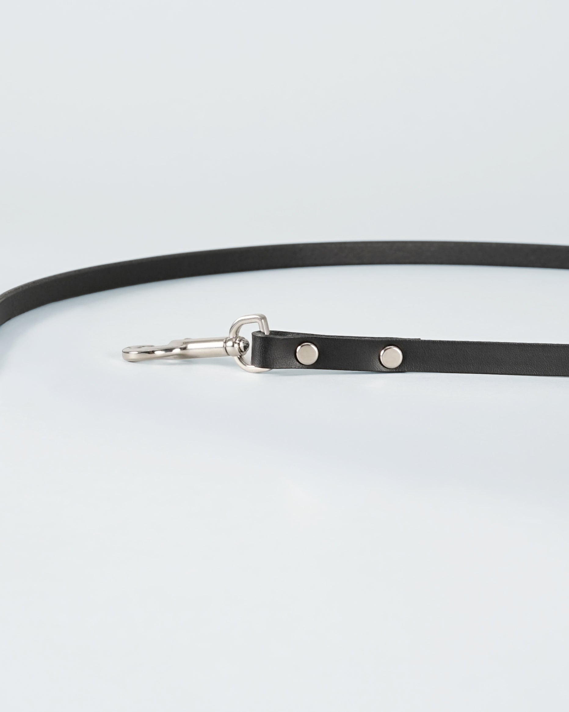 Langylia Leash