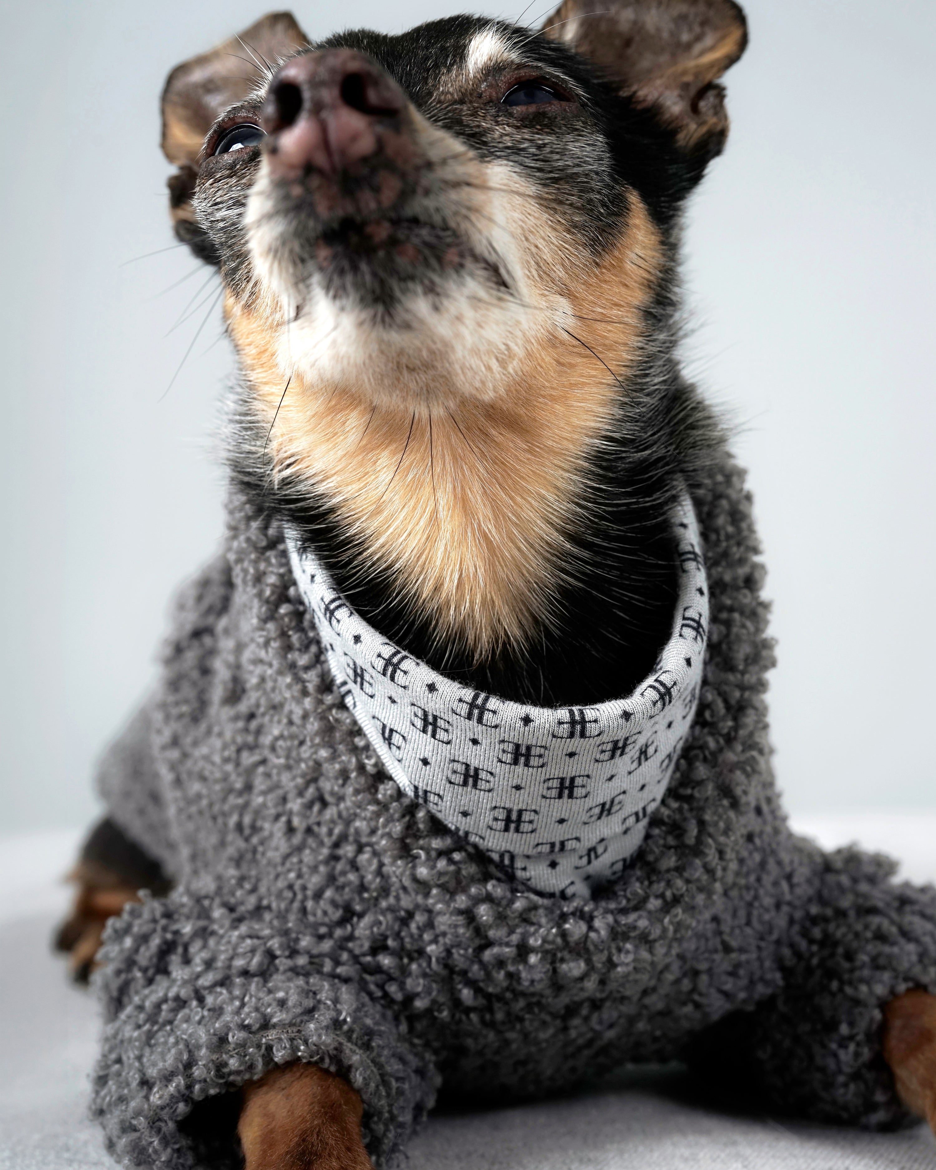 Bavente Pullover