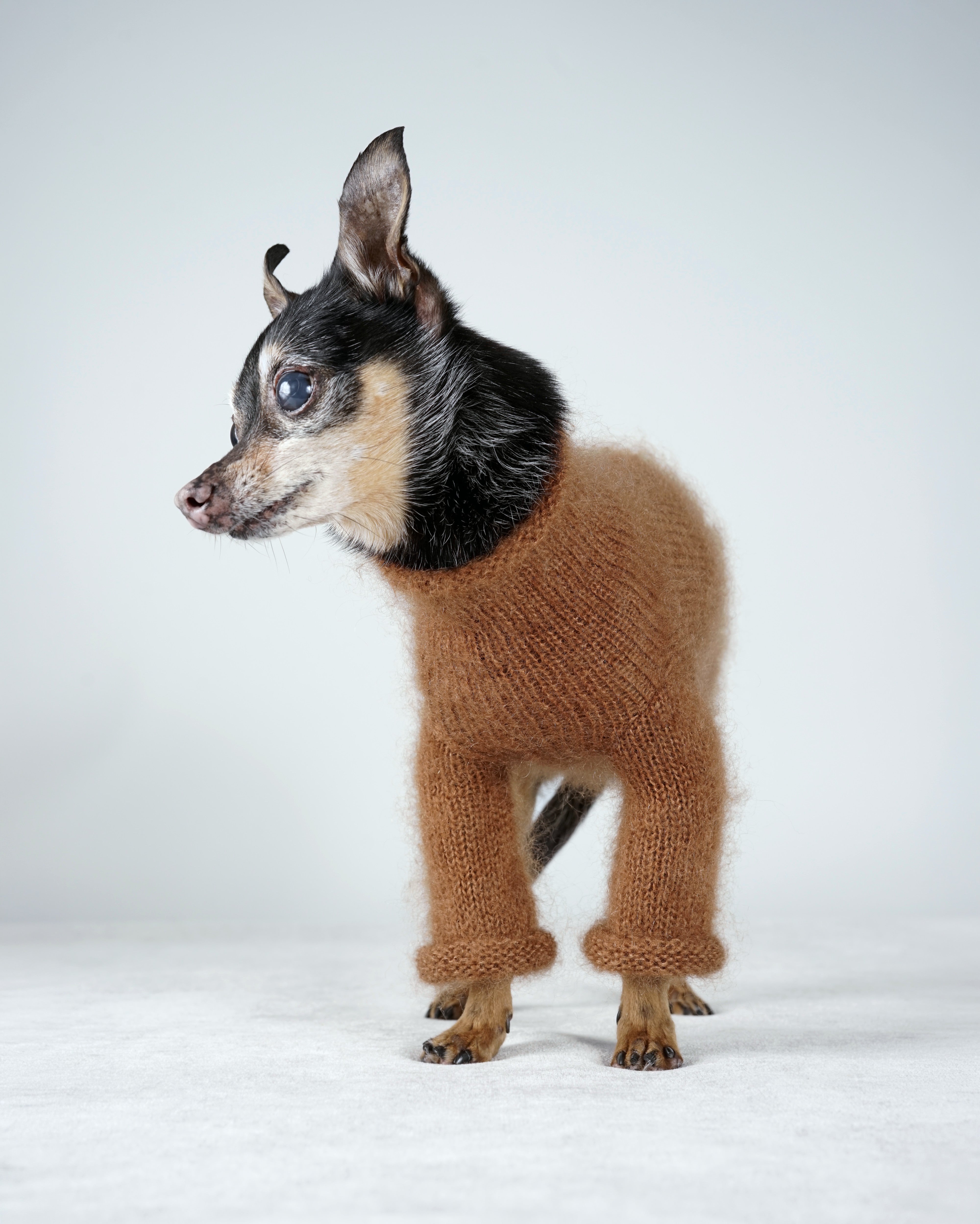 Silmoire Sweater