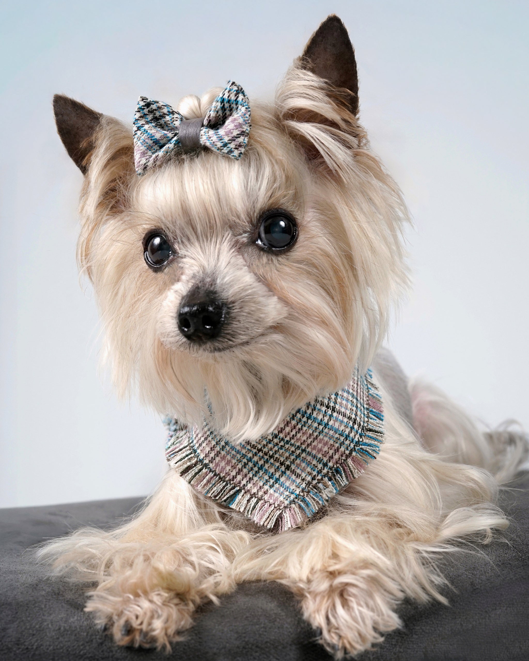 Nerili Hair Bow