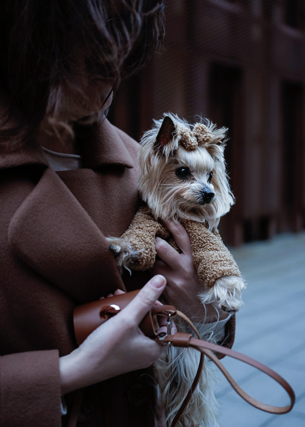 Person holding a small dog in a teddy coat while carrying a leash and dog waste bag holder.