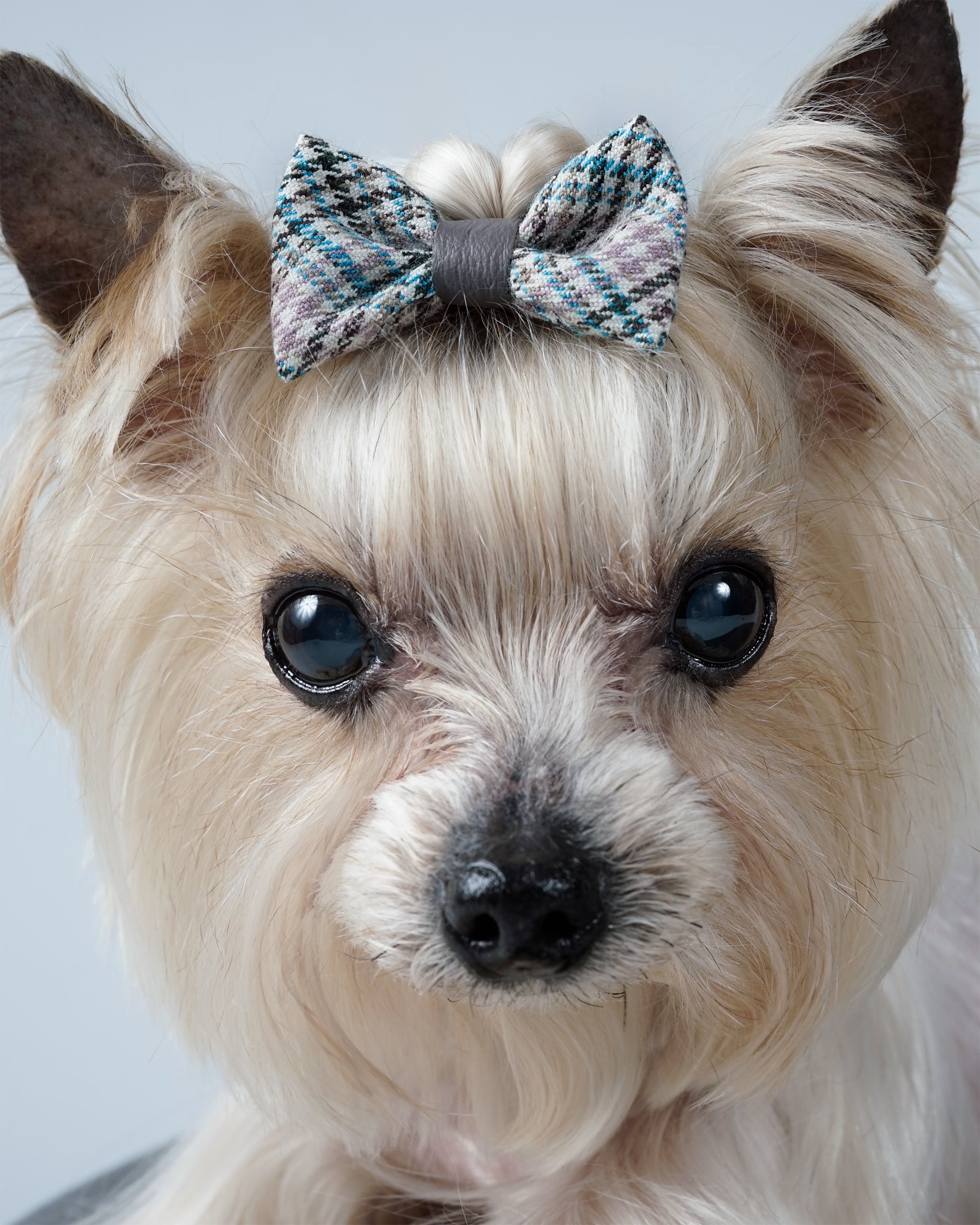 Nerili Hair Bow
