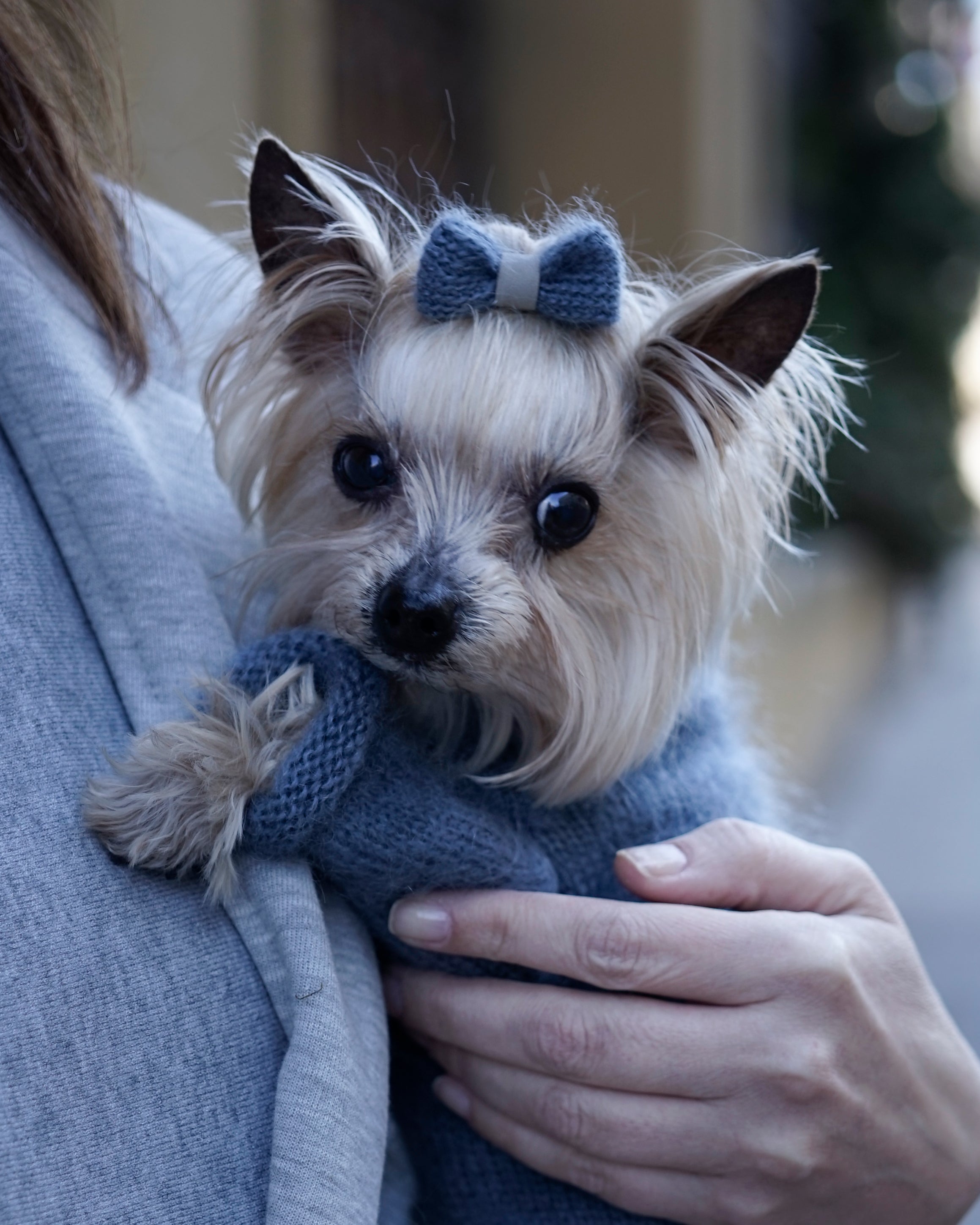 Silmoire Hair Bow