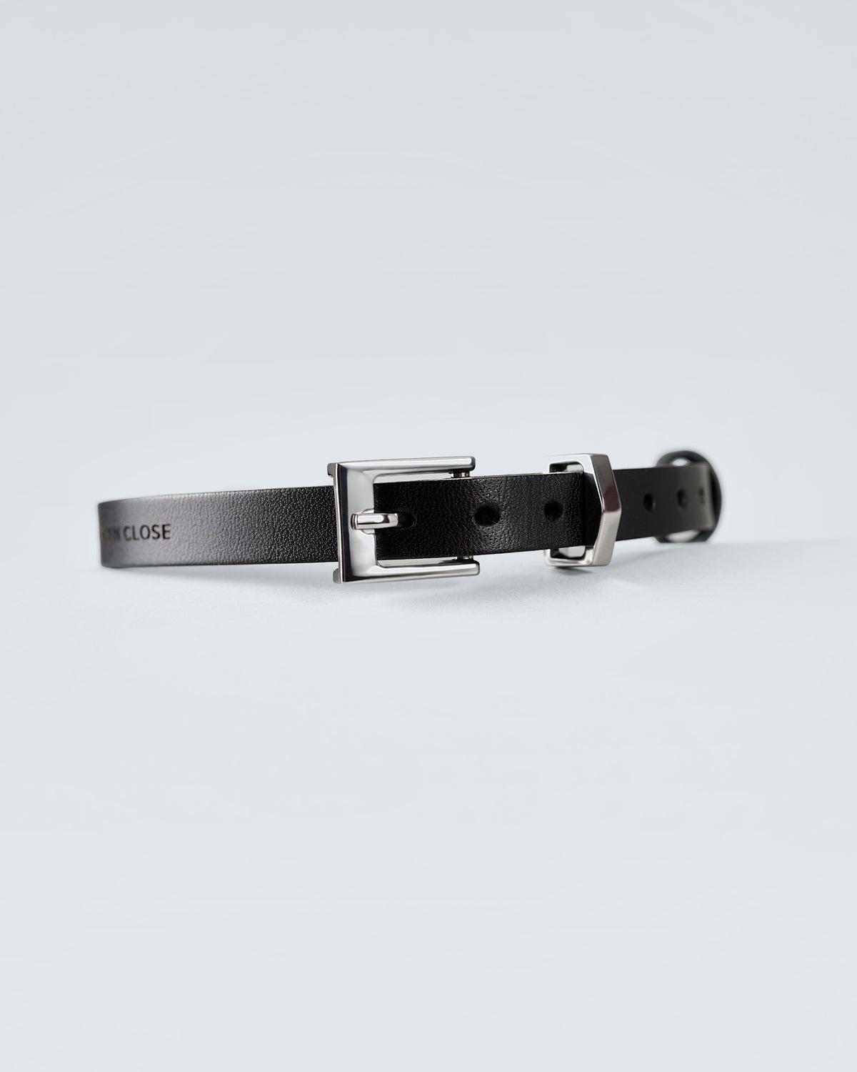 The black collar shown at an angle, the buckle, punched holes and end ring in a single line
