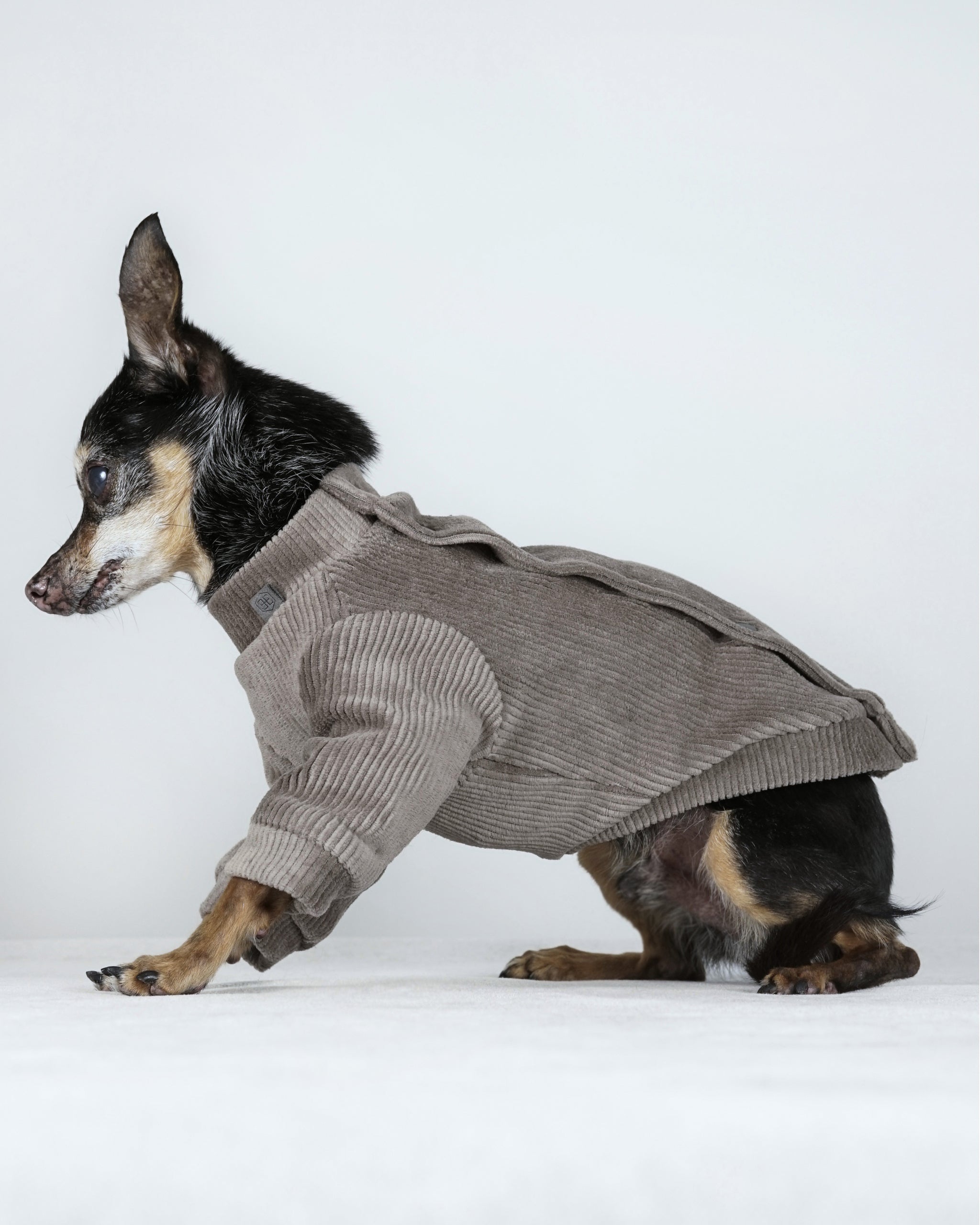 Corven Bomber