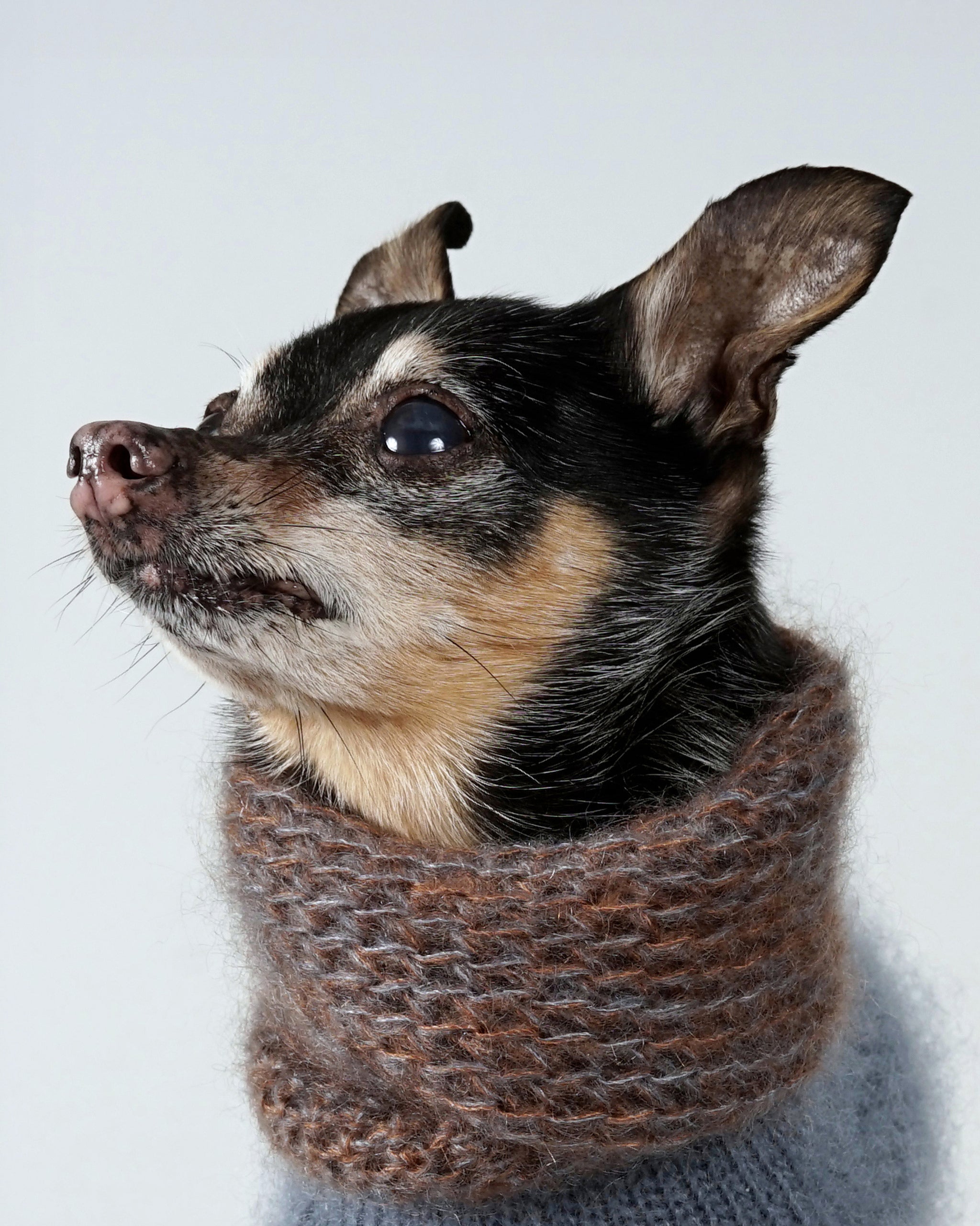 Silmoire Snood