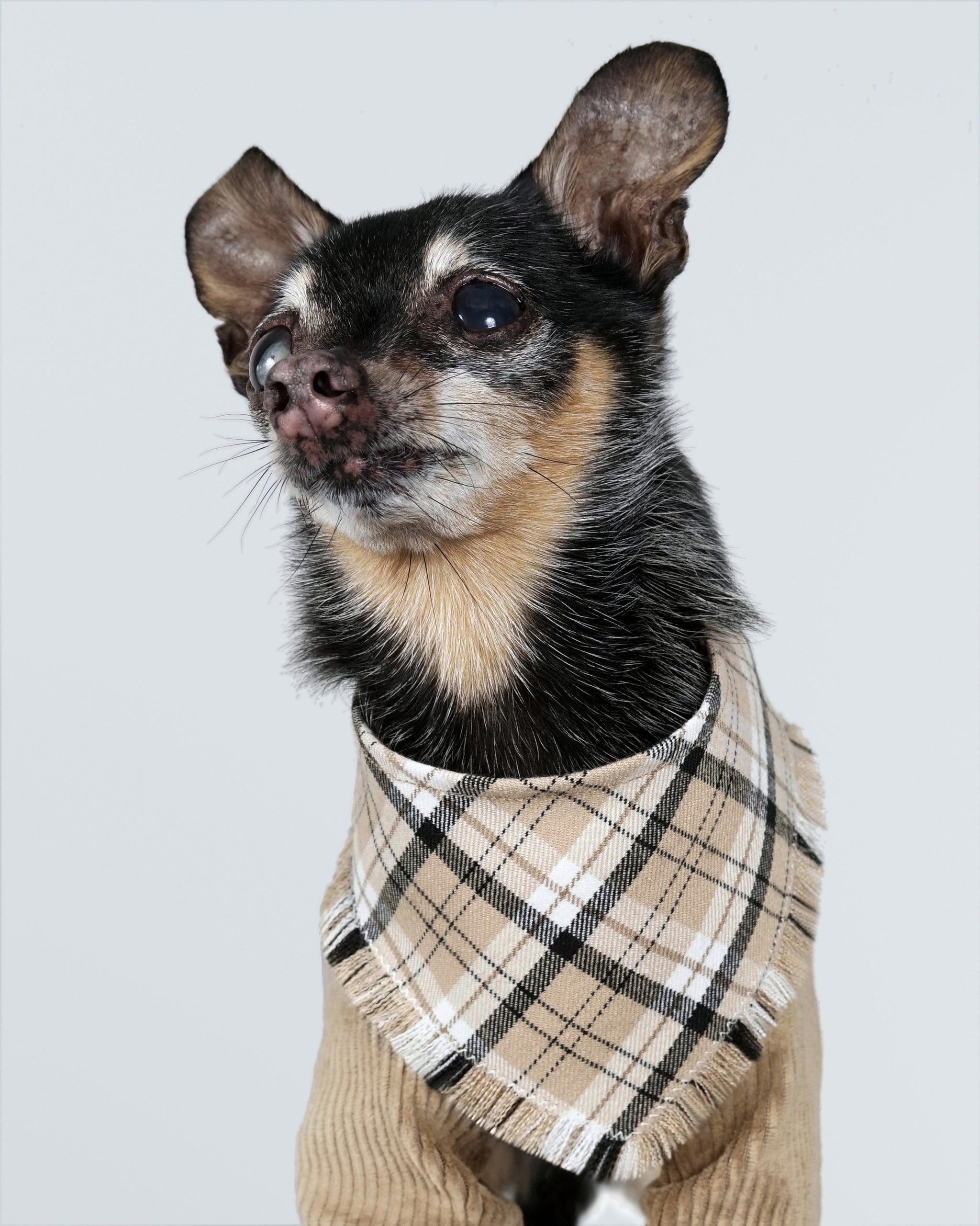Nerili Scarf