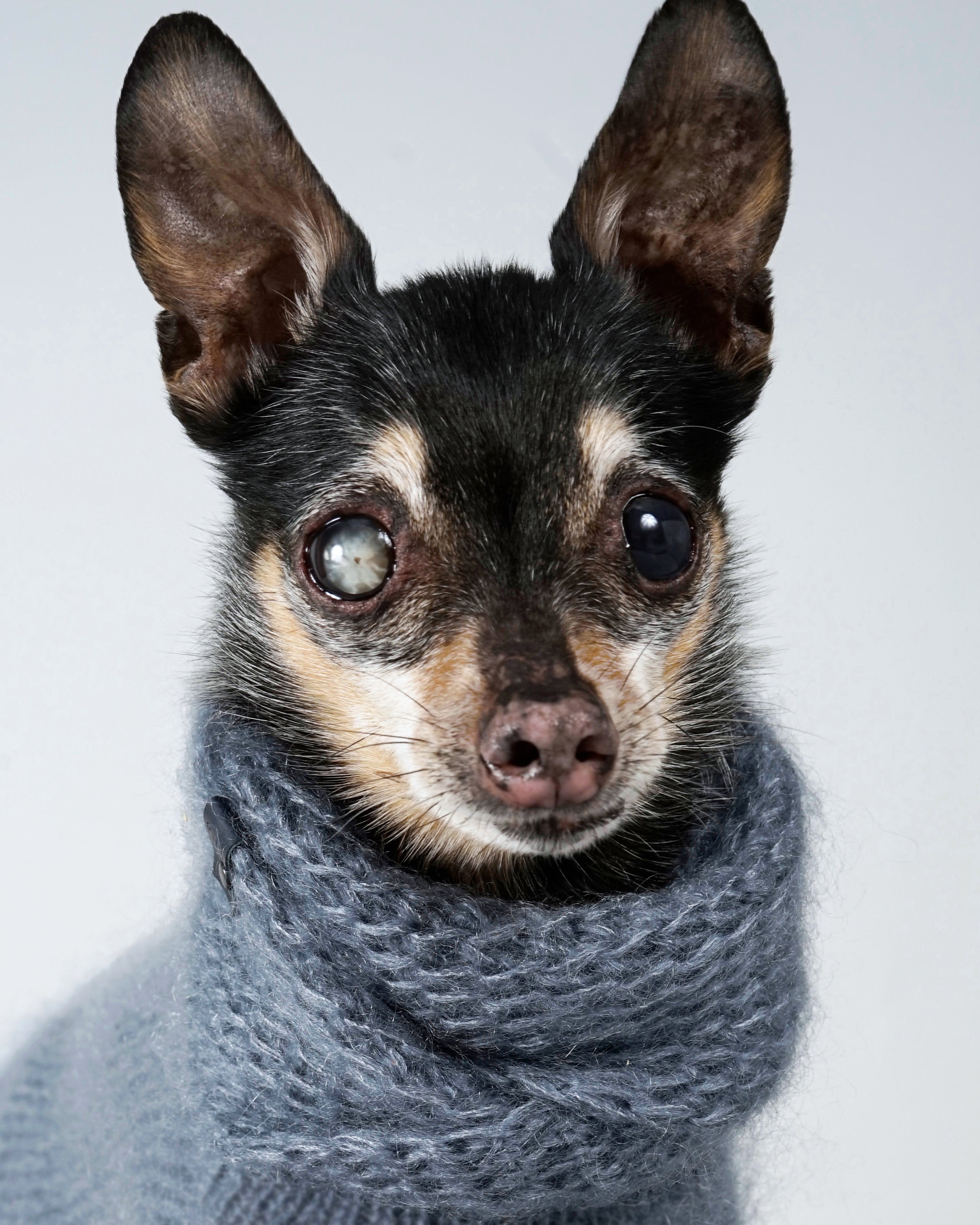 Silmoire Snood