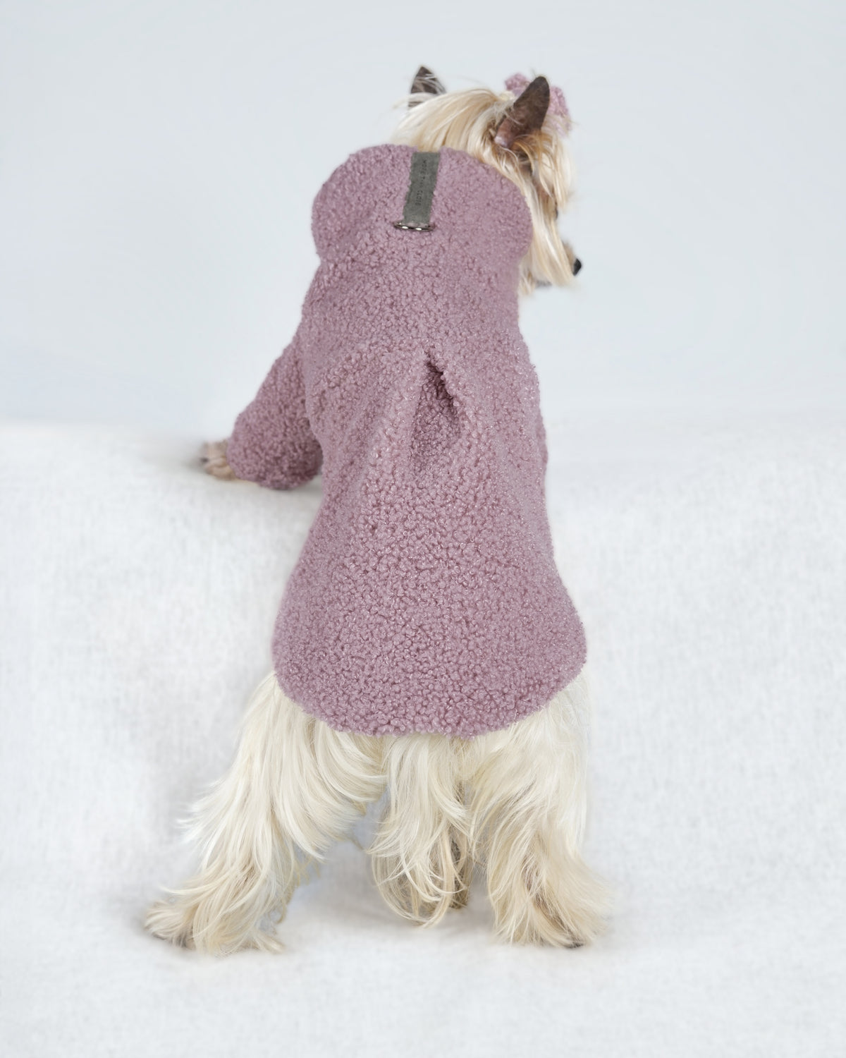 Back view of a small cream dog in a powder pink bouclé dress, showing its pleat and suede tab