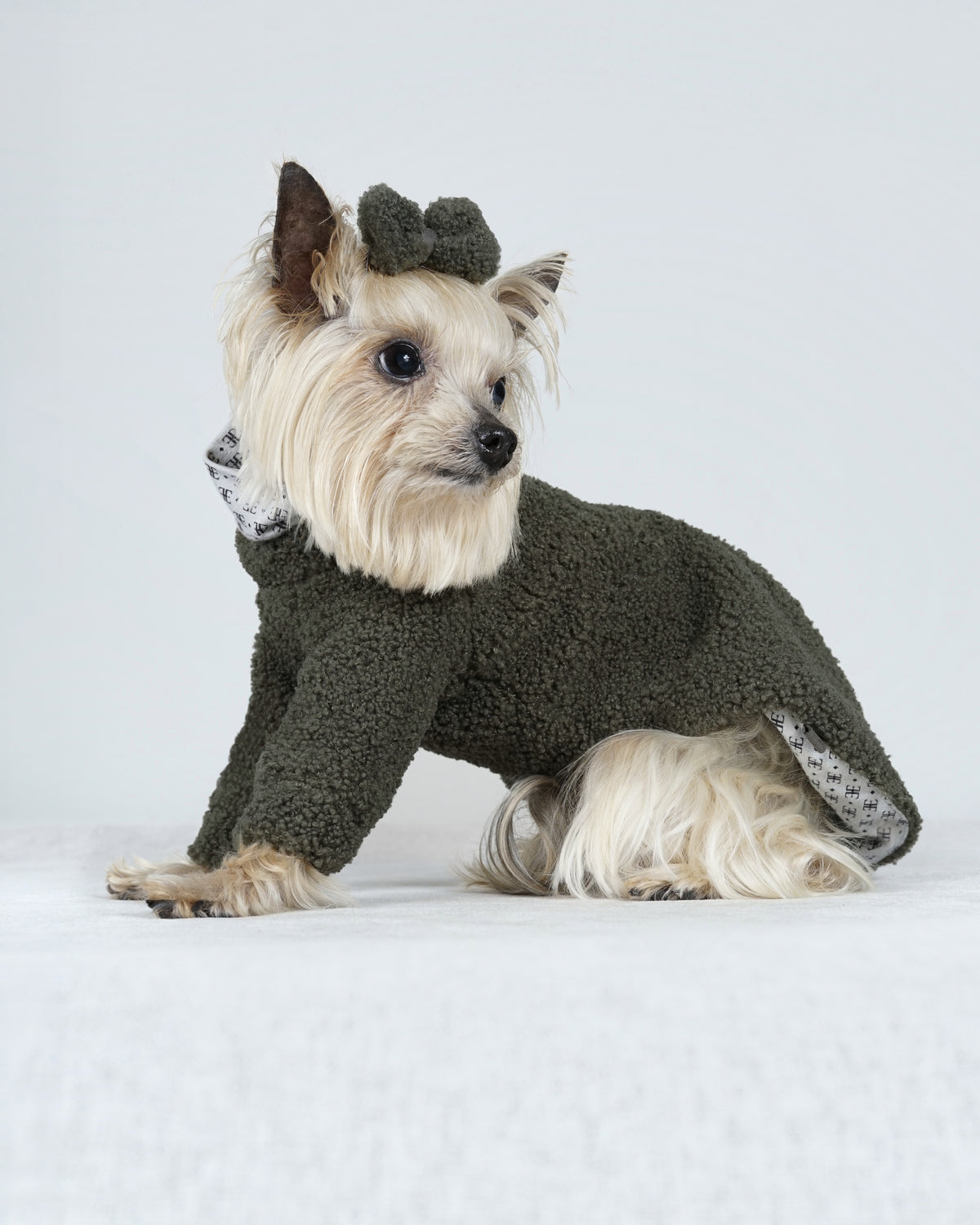 Small cream dog sitting in profile in a forest green bouclé dress and hair bow