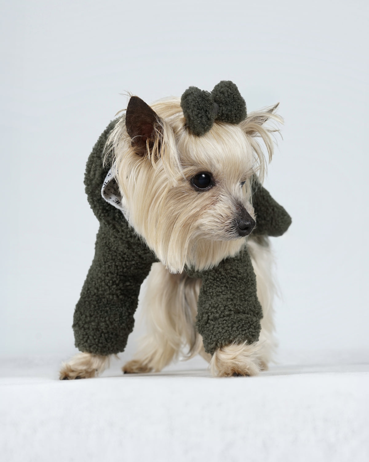 Small cream dog wearing a forest green bouclé dog dress and matching hair bow, a soft everyday dog outfit