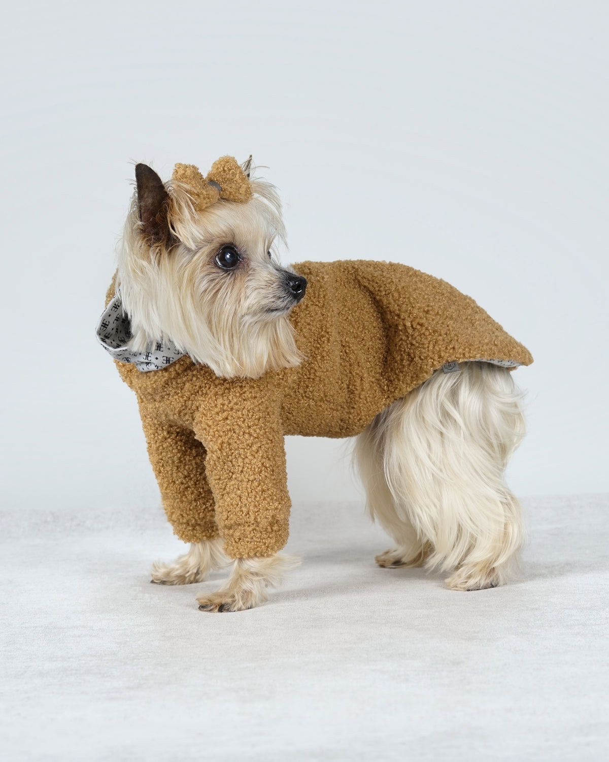 Small cream dog standing in profile in a camel bouclé dress and matching hair bow