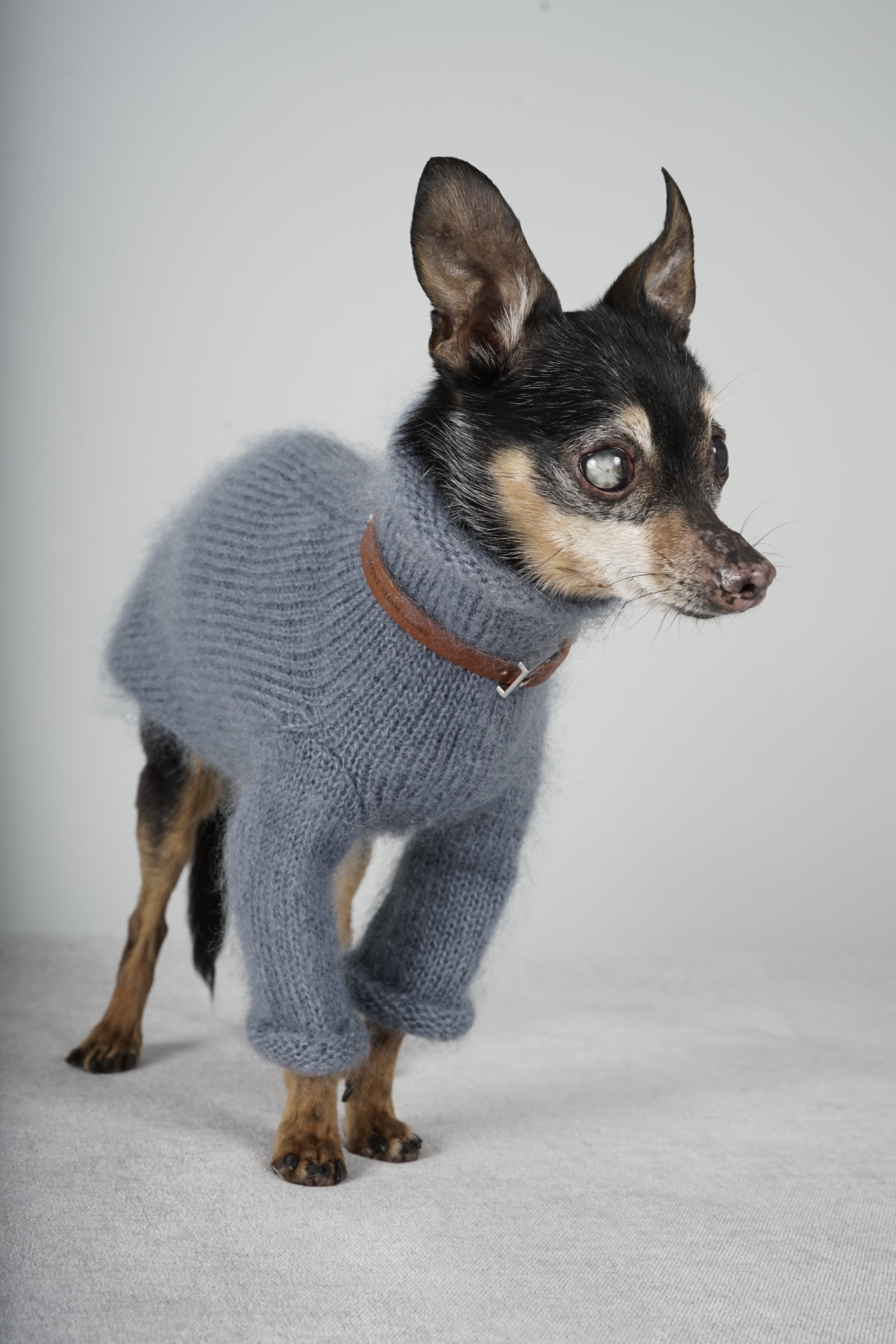 Sweaters