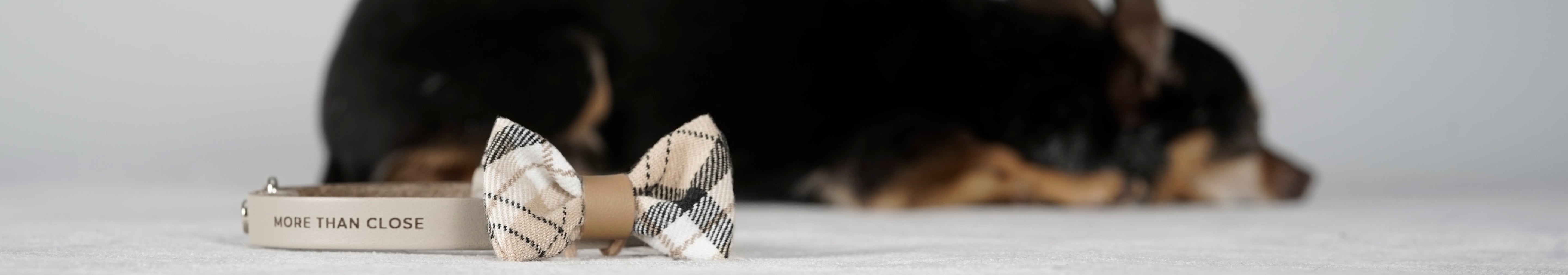 Collar Bows