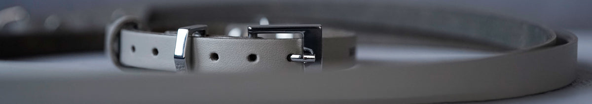 Close-up of a greige leather dog collar and leash with polished metal hardware and an embossed logo.