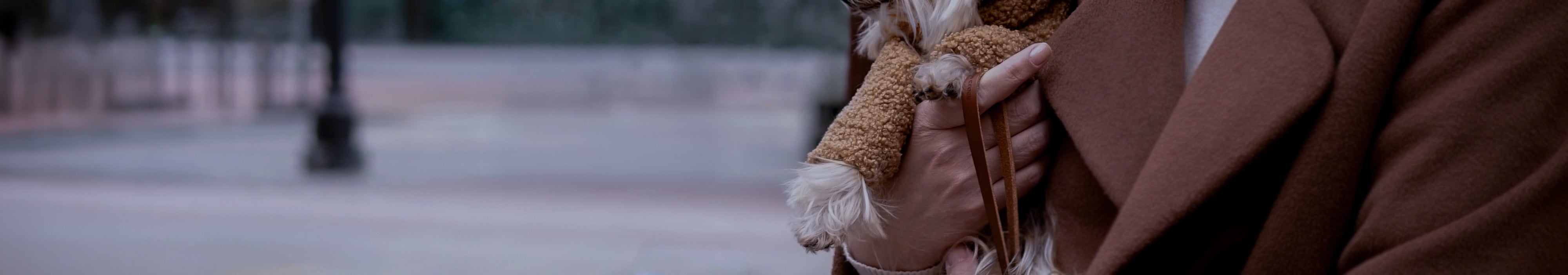 Leashes