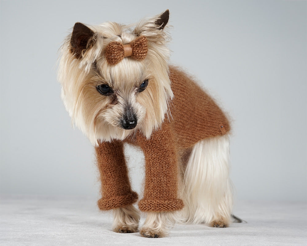 Yorkshire Terrier in a warm brown mohair sweater with a matching hair bow