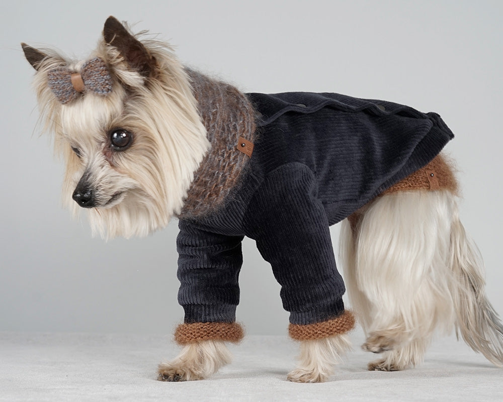 Yorkshire Terrier in a deep blue corduroy jacket over a warm brown mohair sweater, with a blue brown mohair snood and hair bow