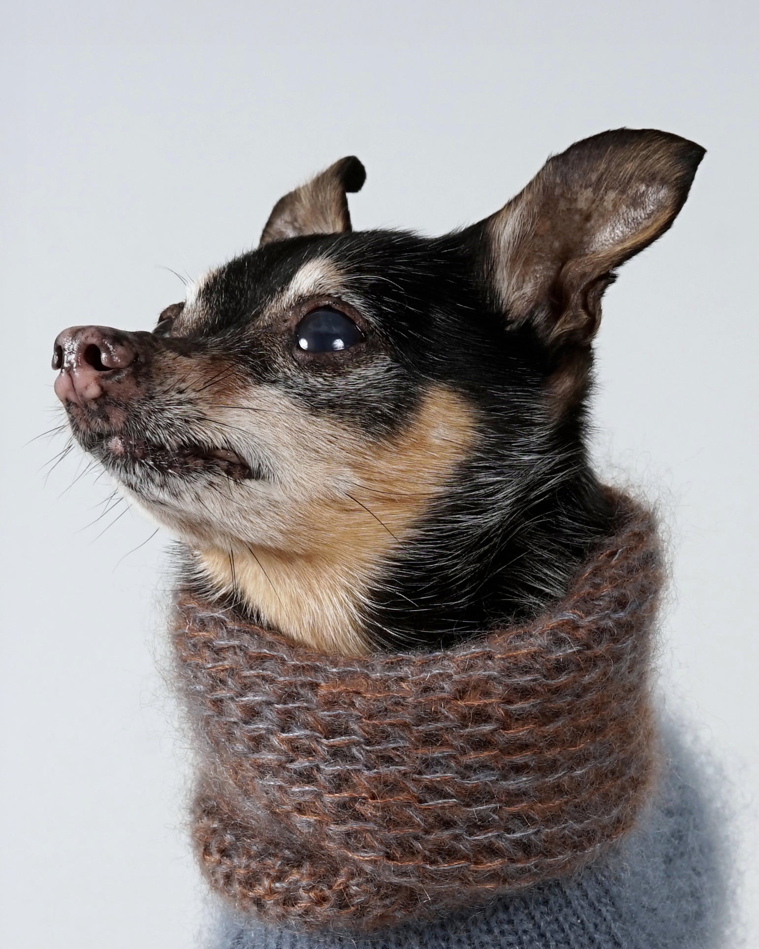 Silmoire Snood