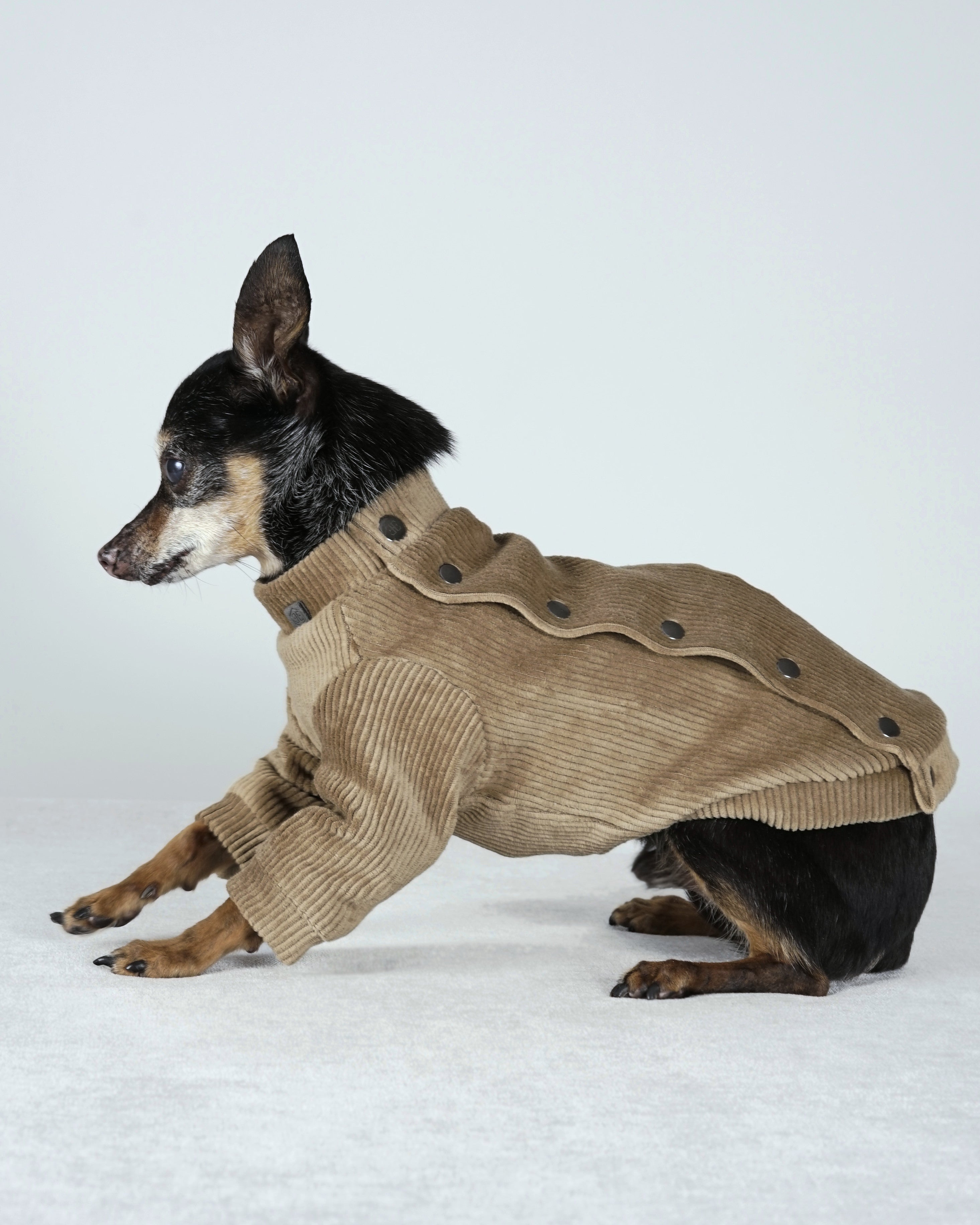 Corven Bomber