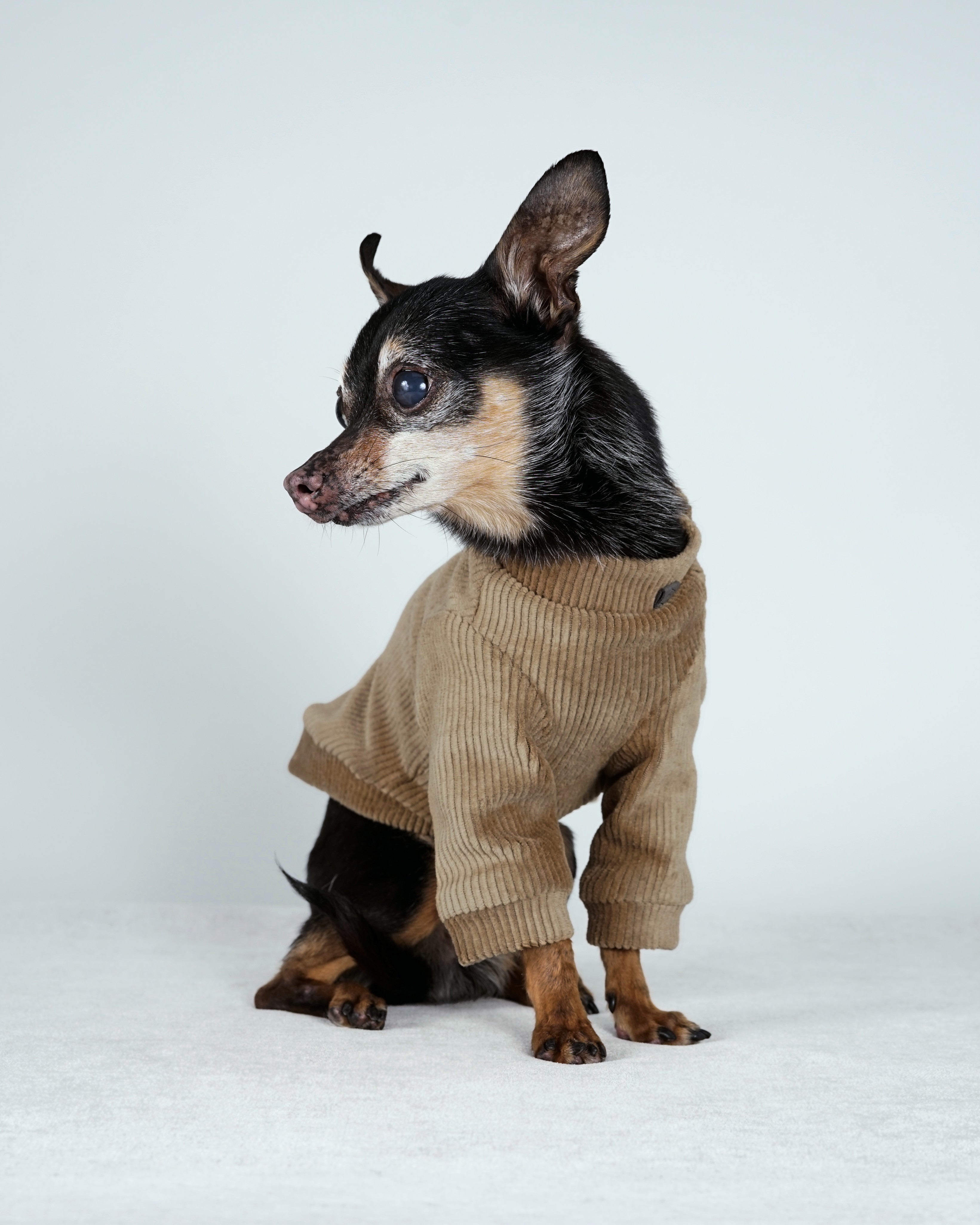 Corven Bomber
