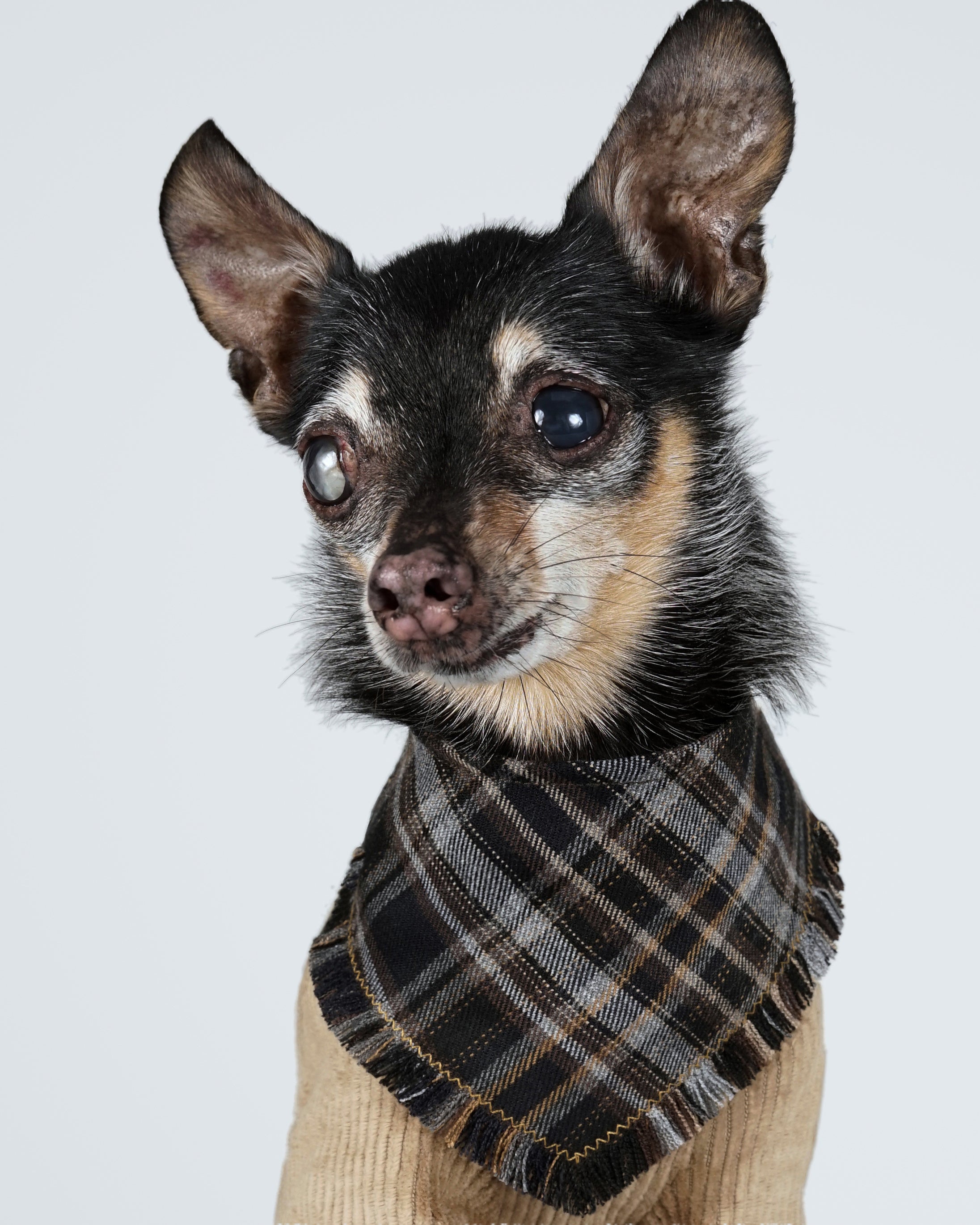 Nerili Scarf