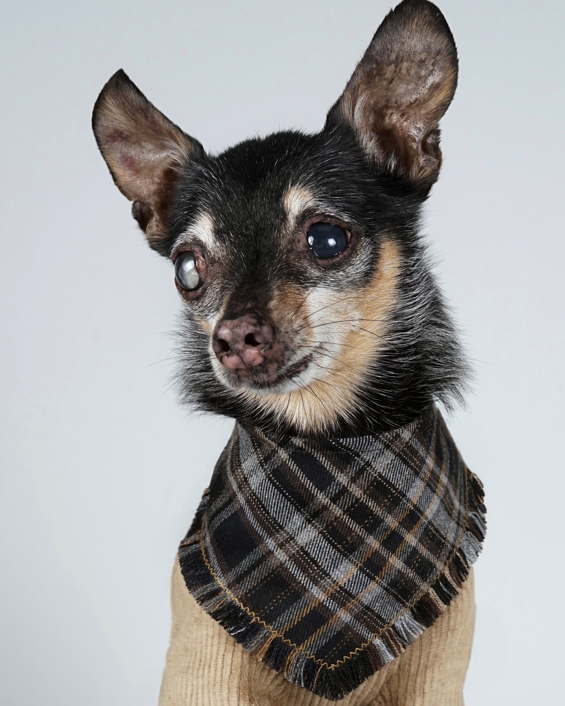 Nerili Scarf