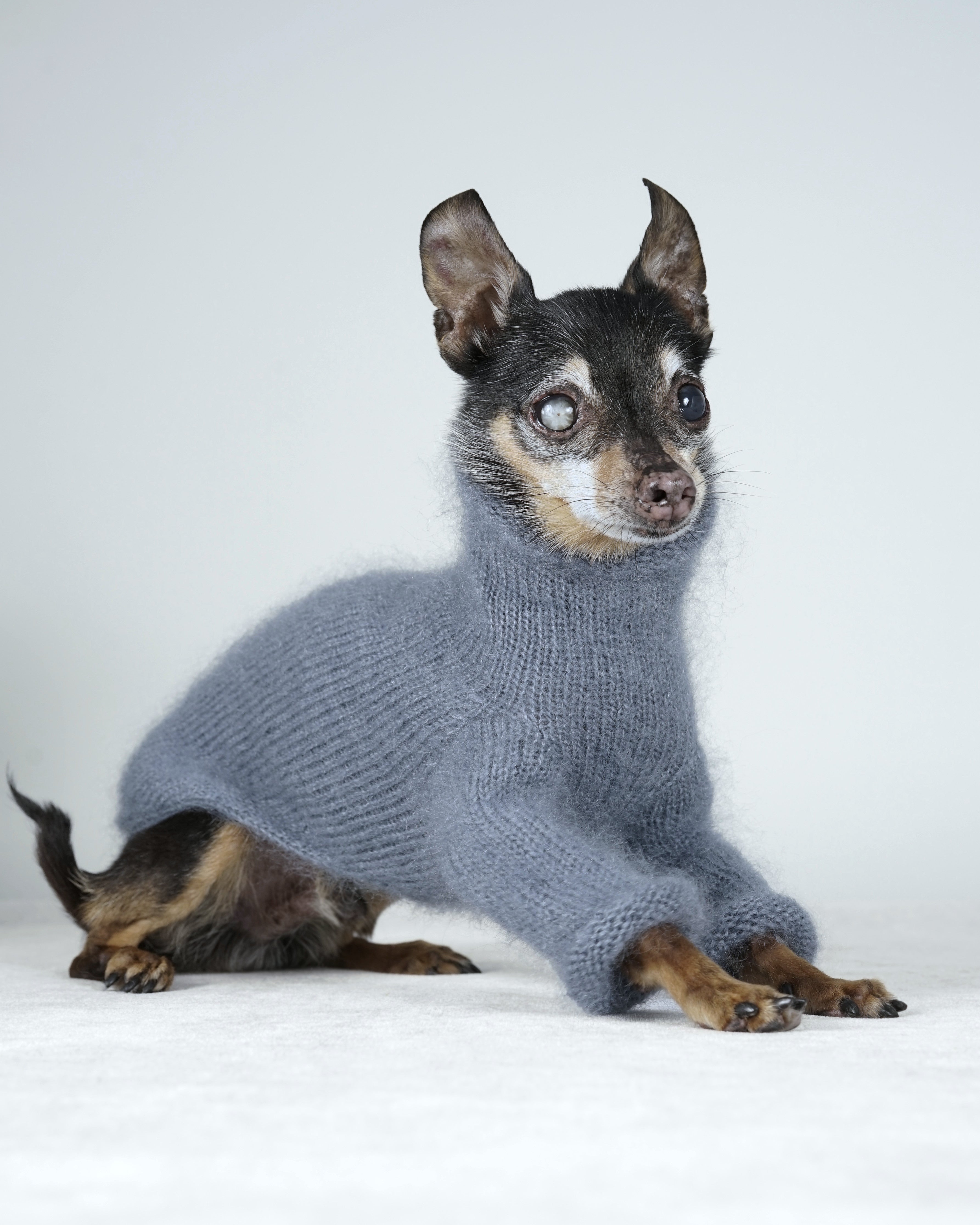 Silmoire Sweater