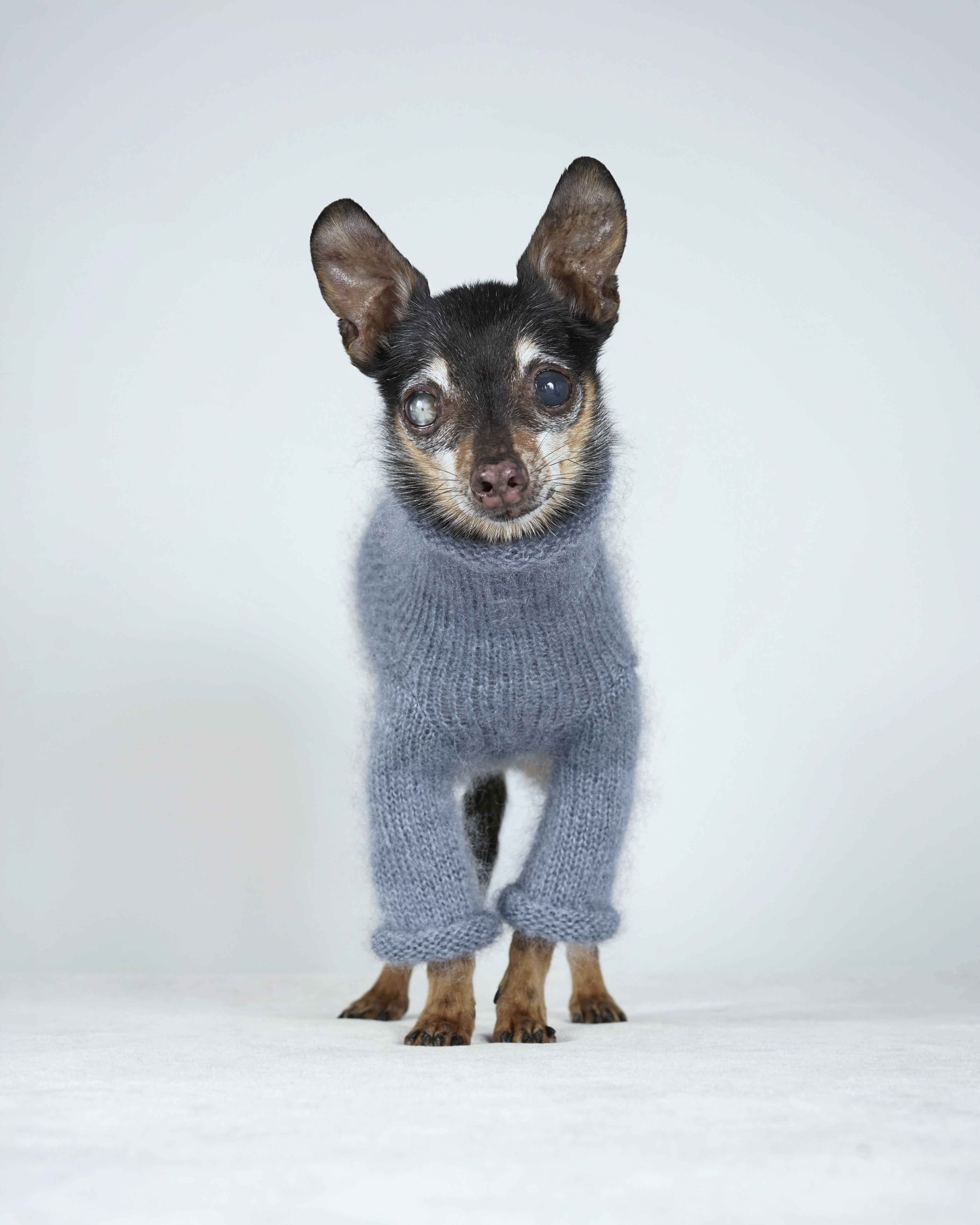 Silmoire Sweater
