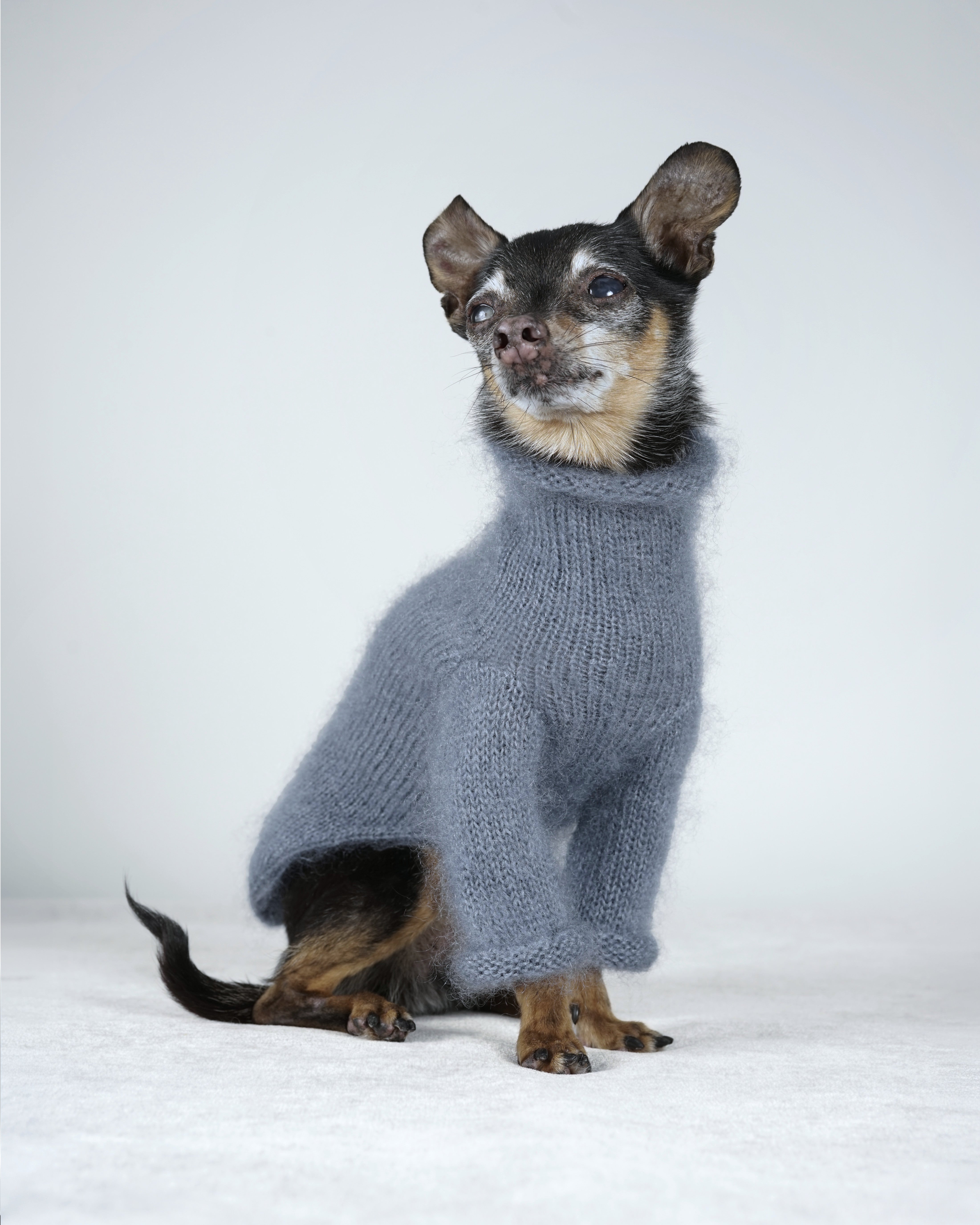 Silmoire Sweater