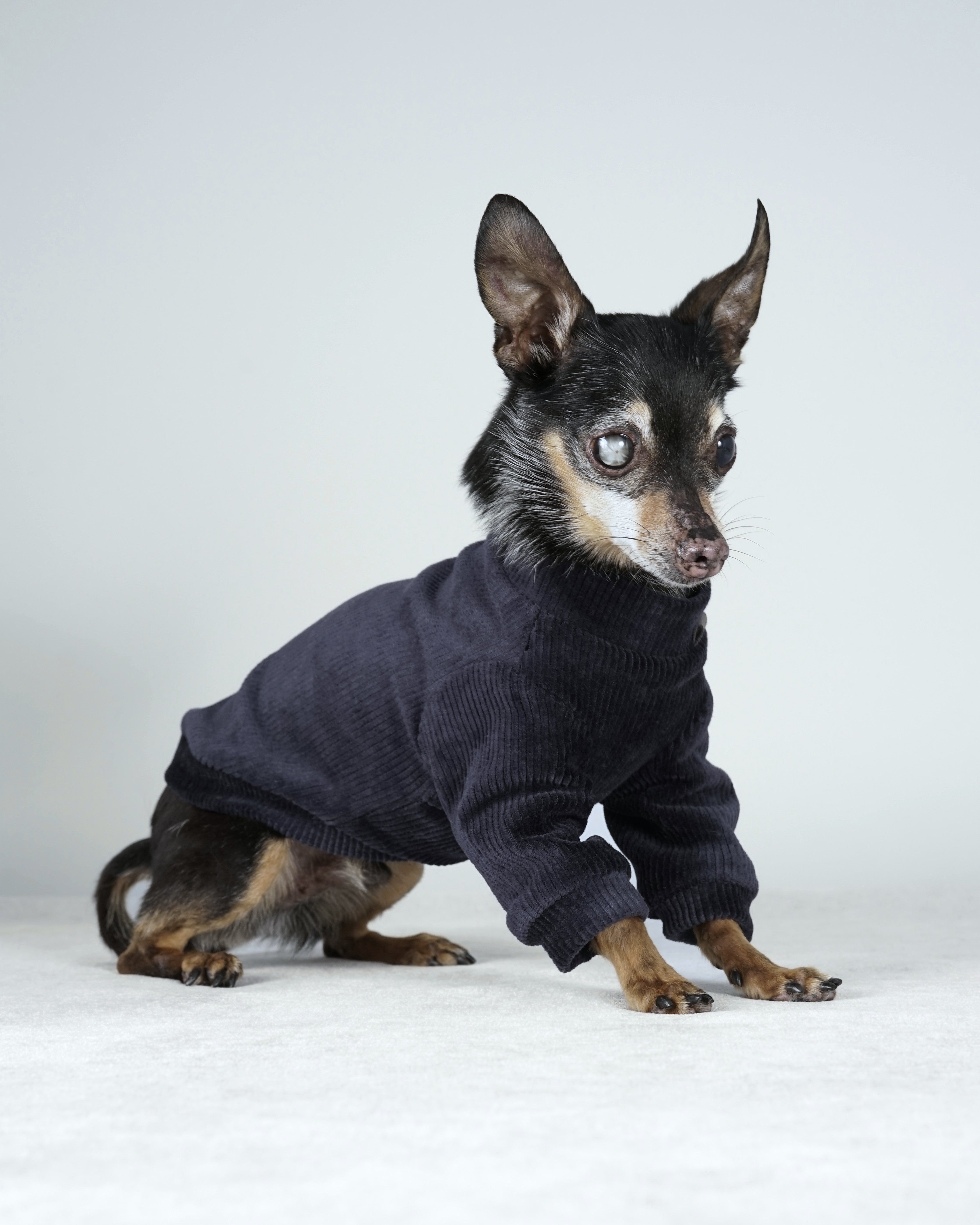 Corven Bomber