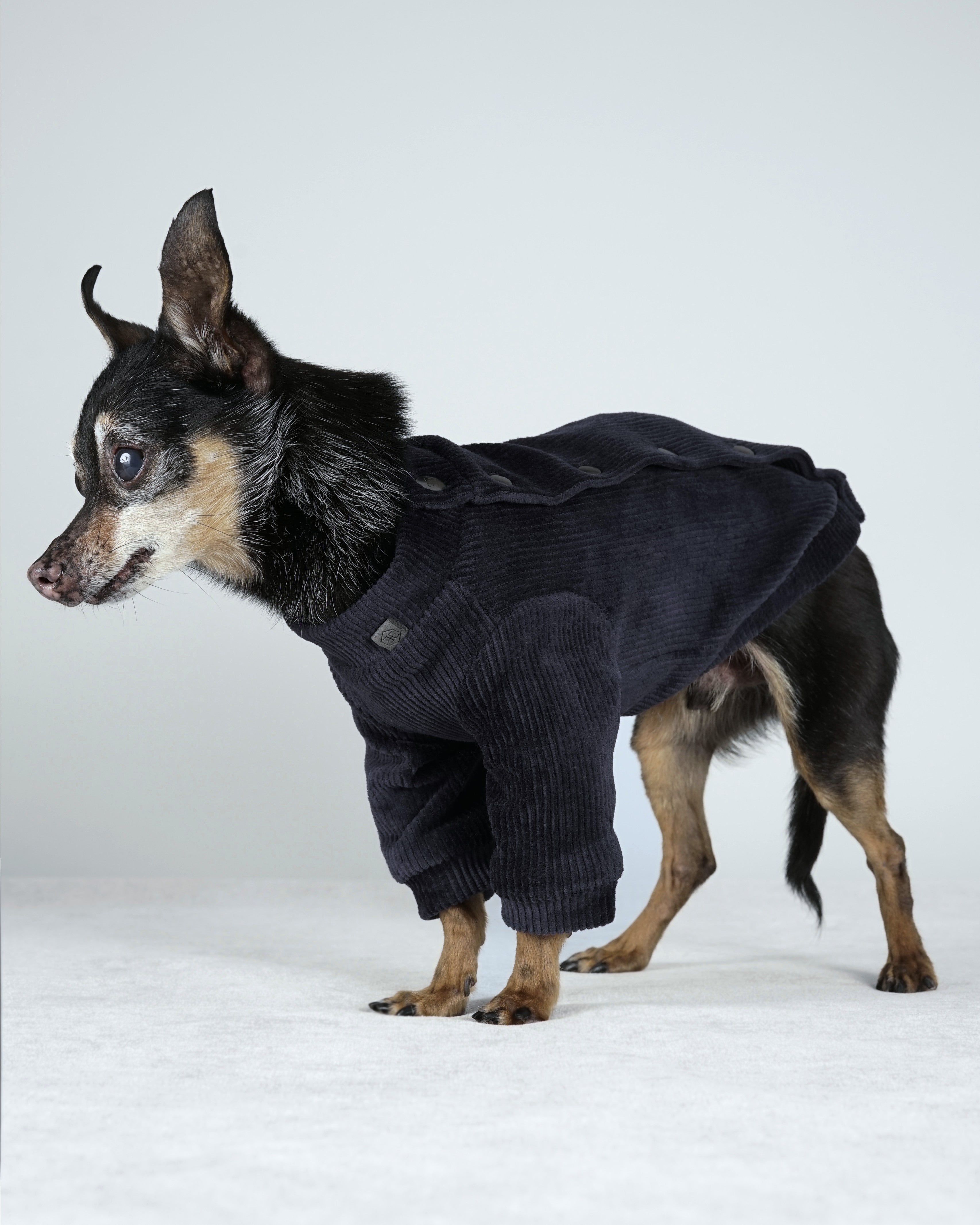 Corven Bomber