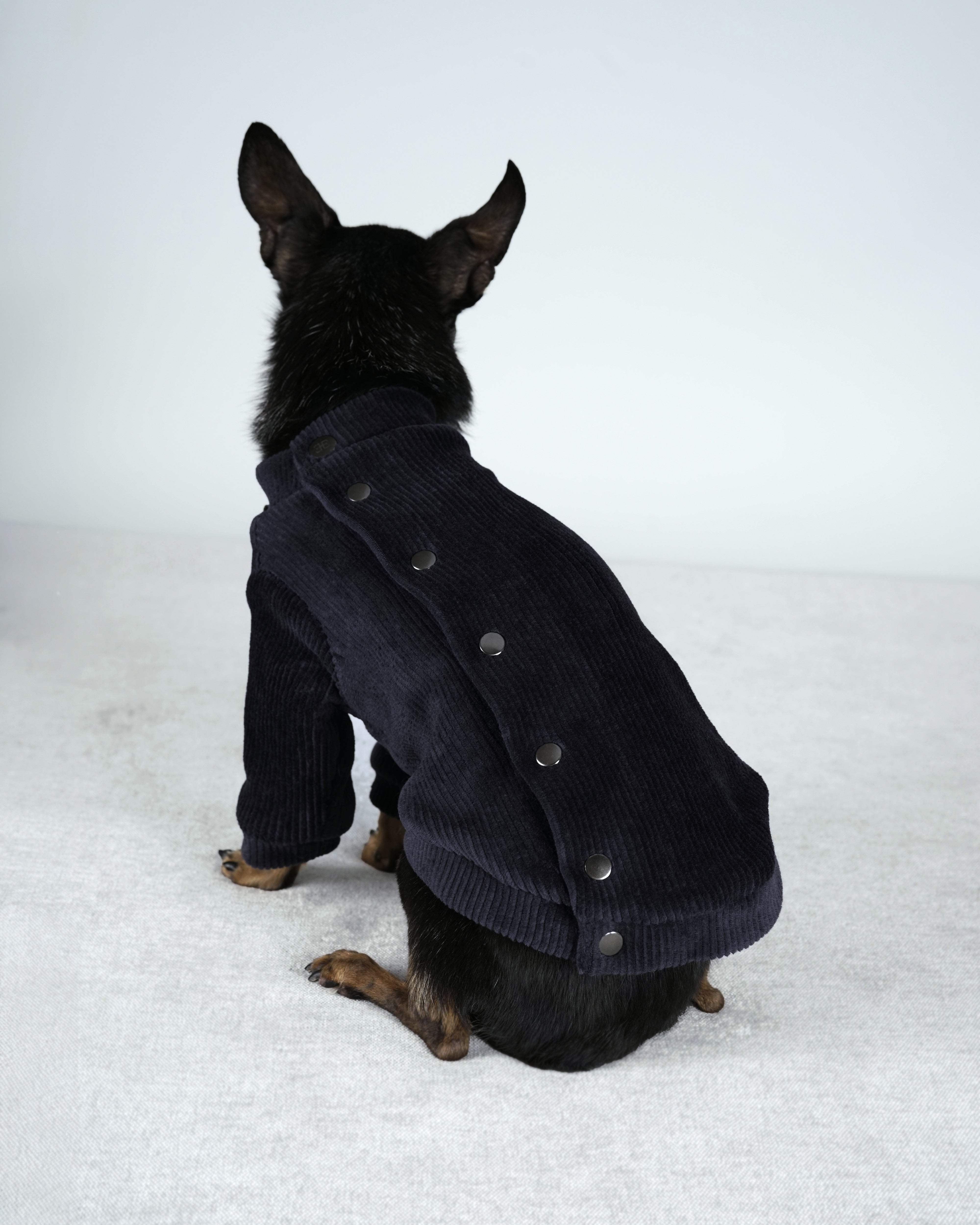 Corven Bomber