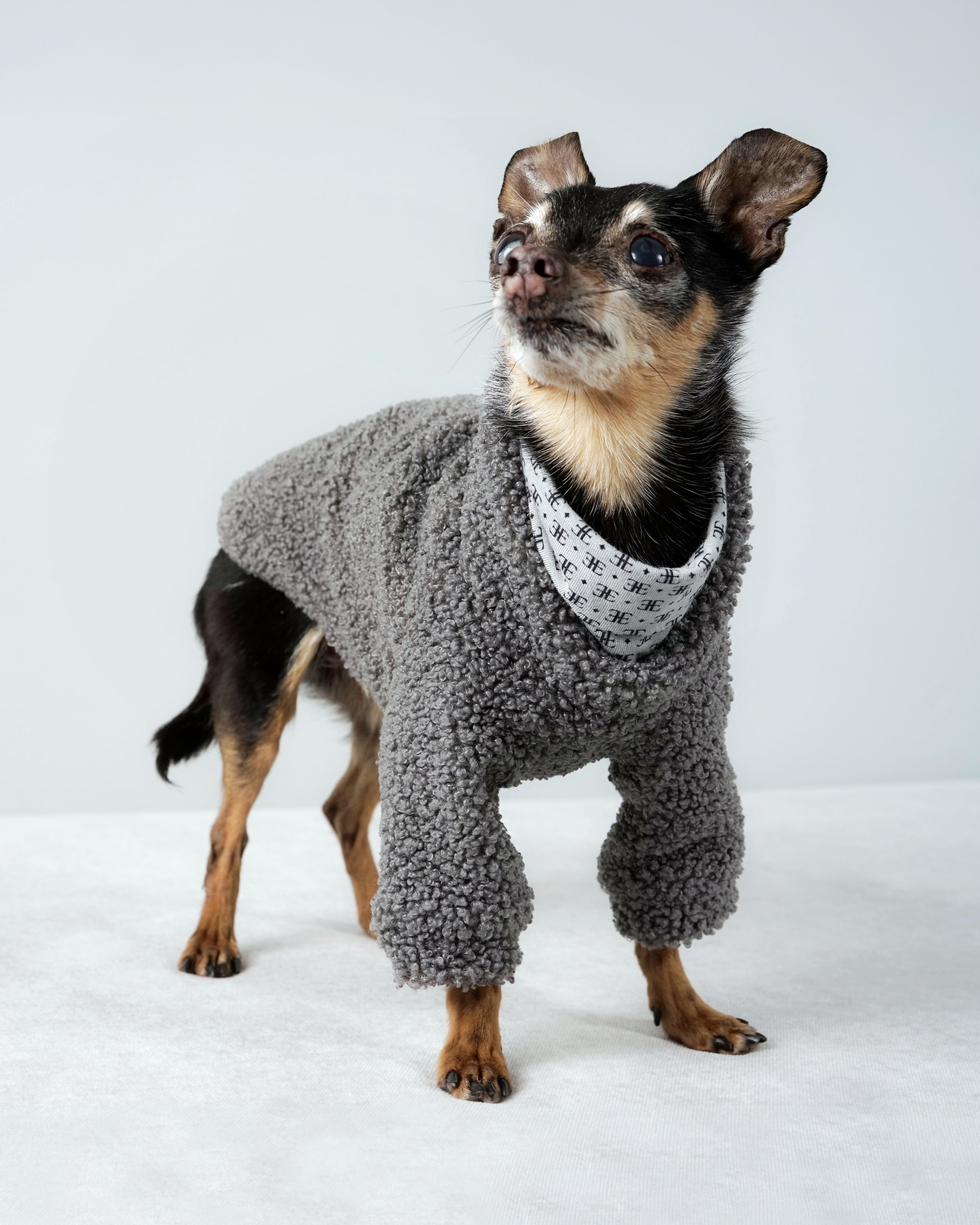 Bavente Pullover