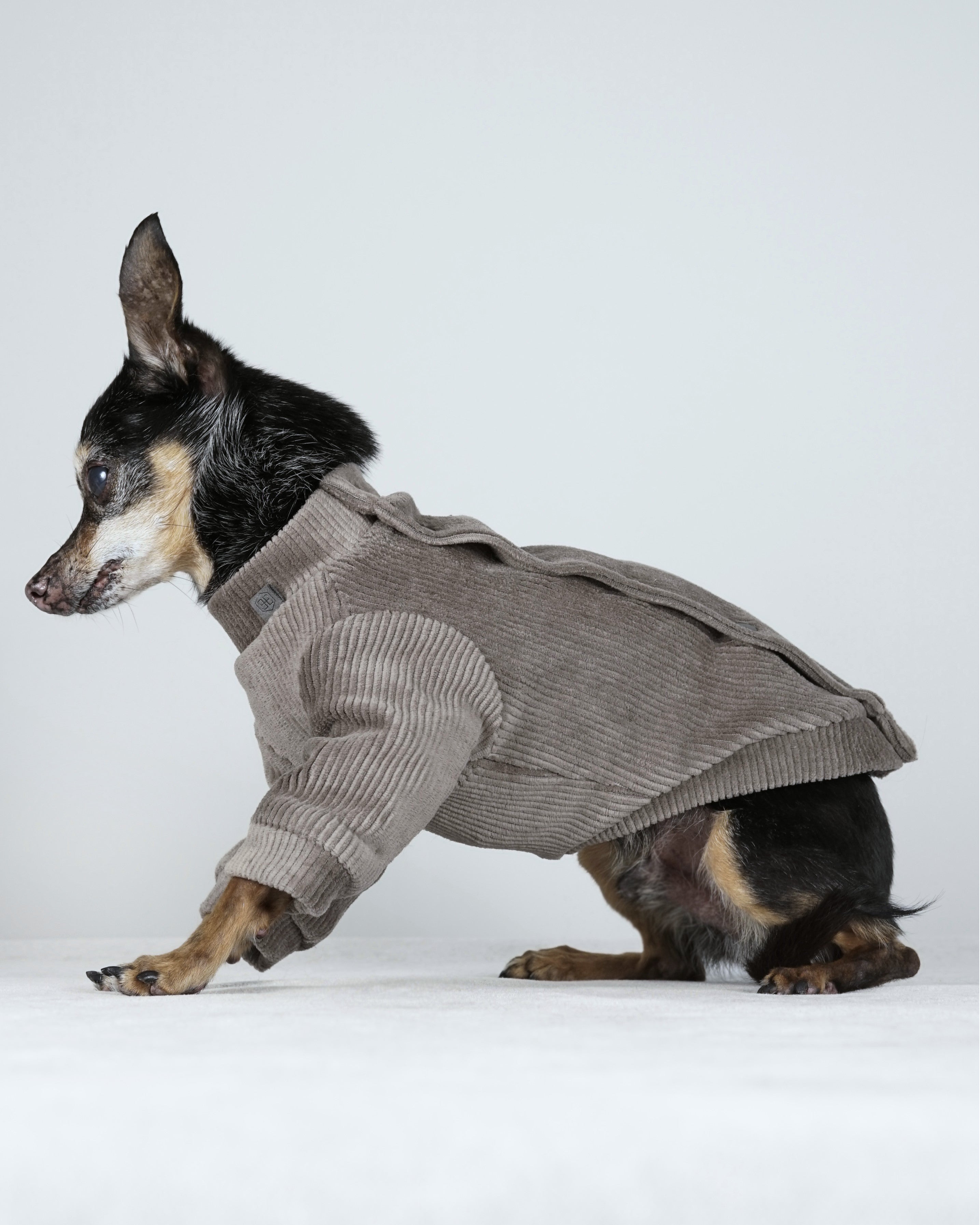 Corven Bomber