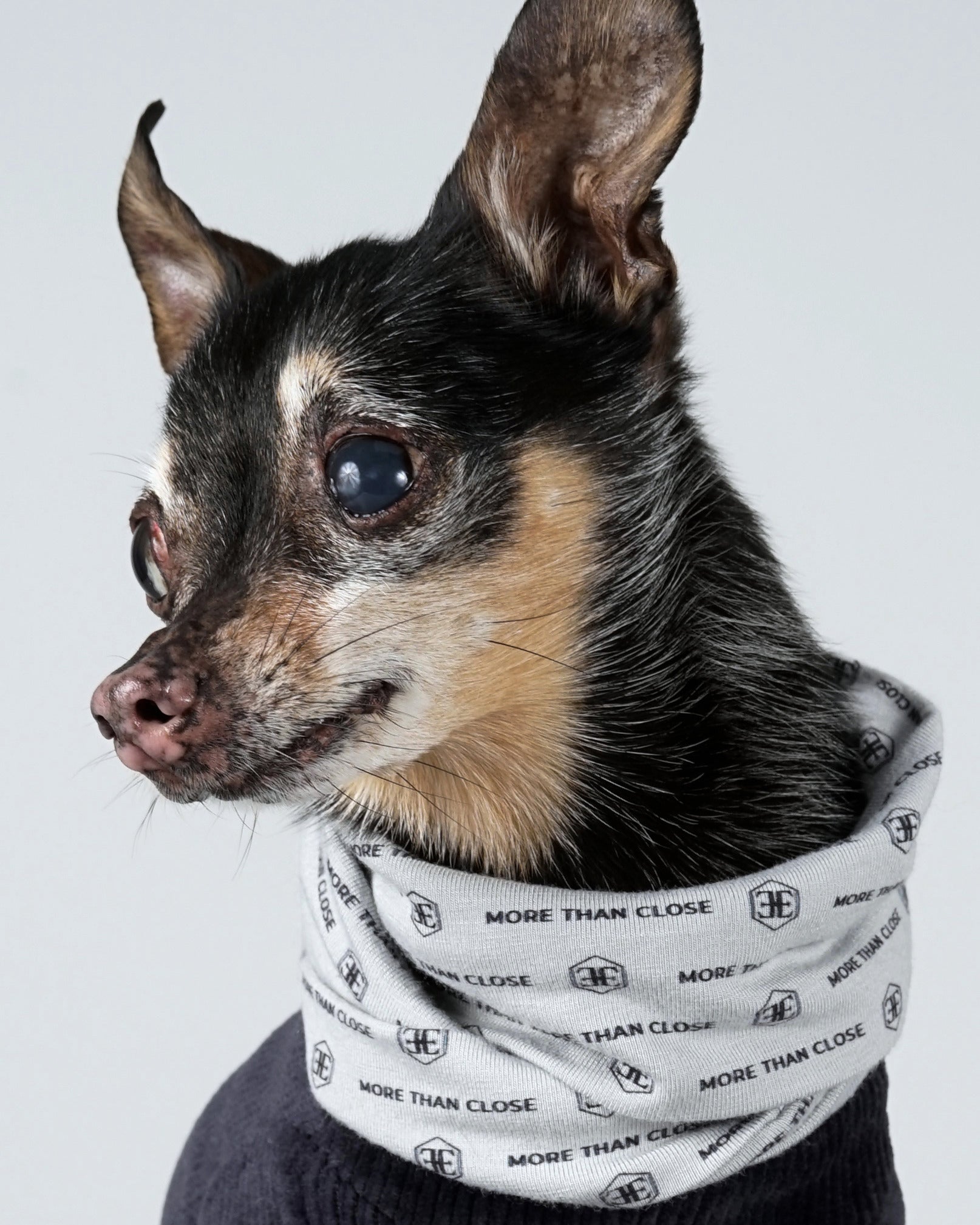 Corven Snood