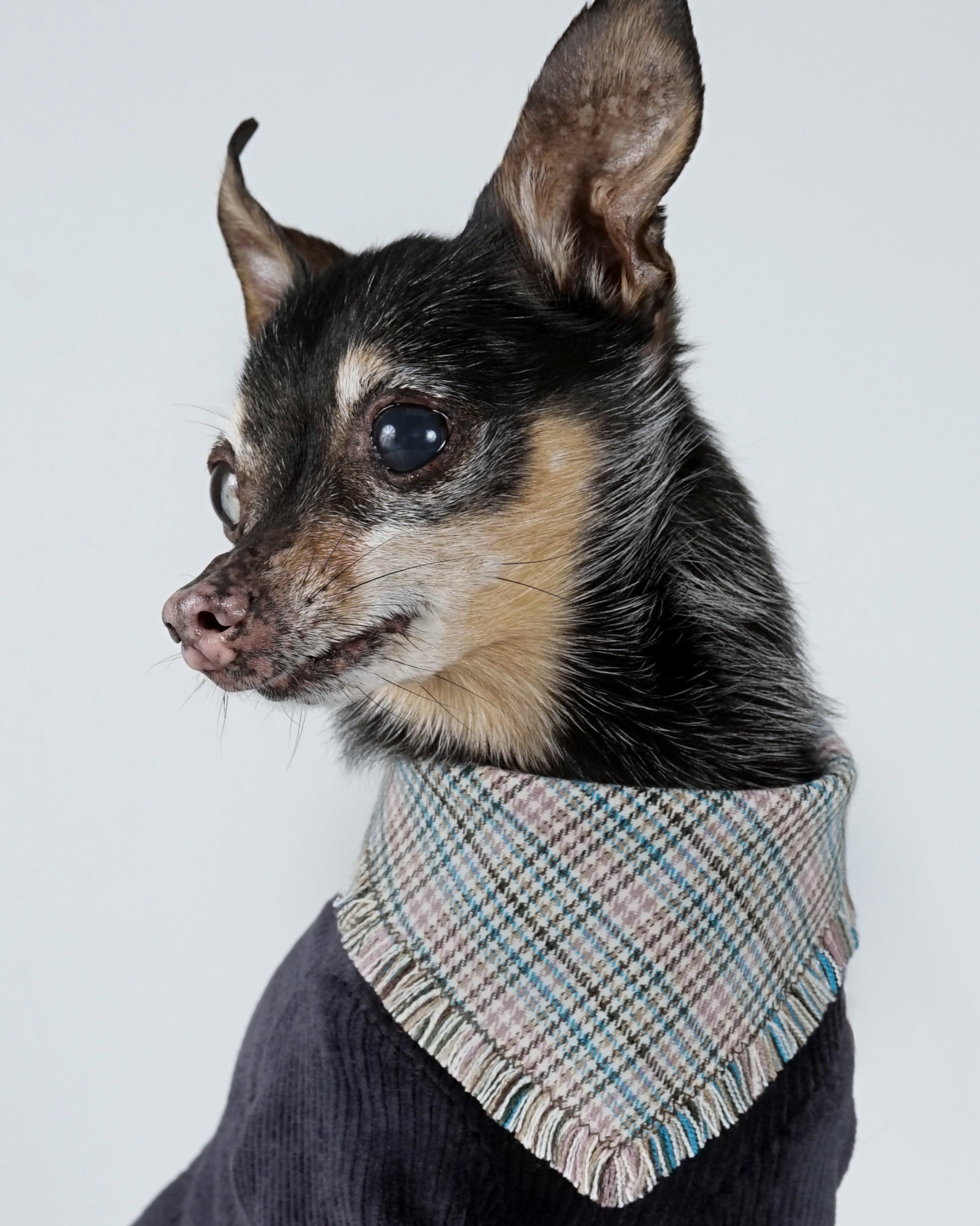 Nerili Scarf