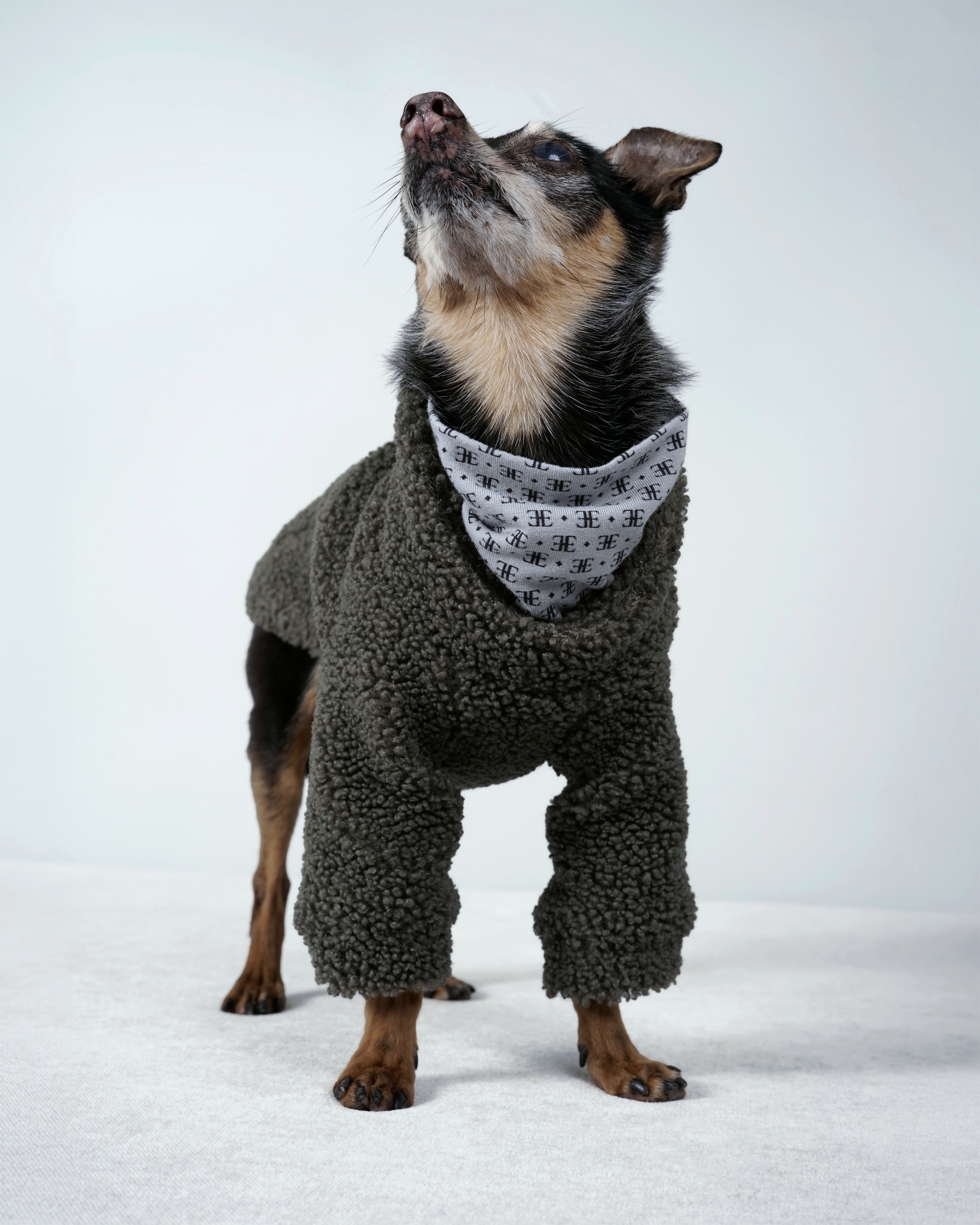 Bavente Pullover
