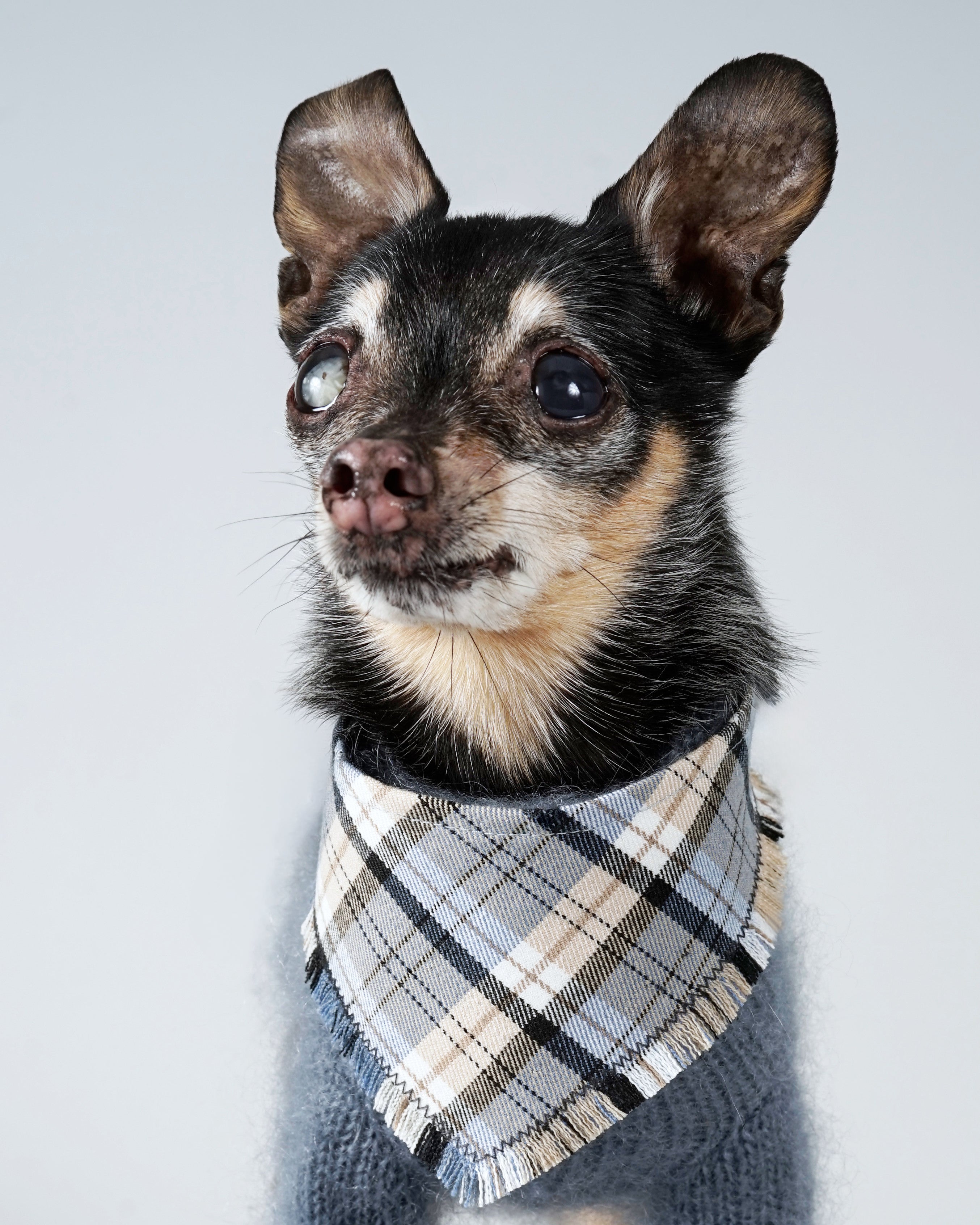 Nerili Scarf