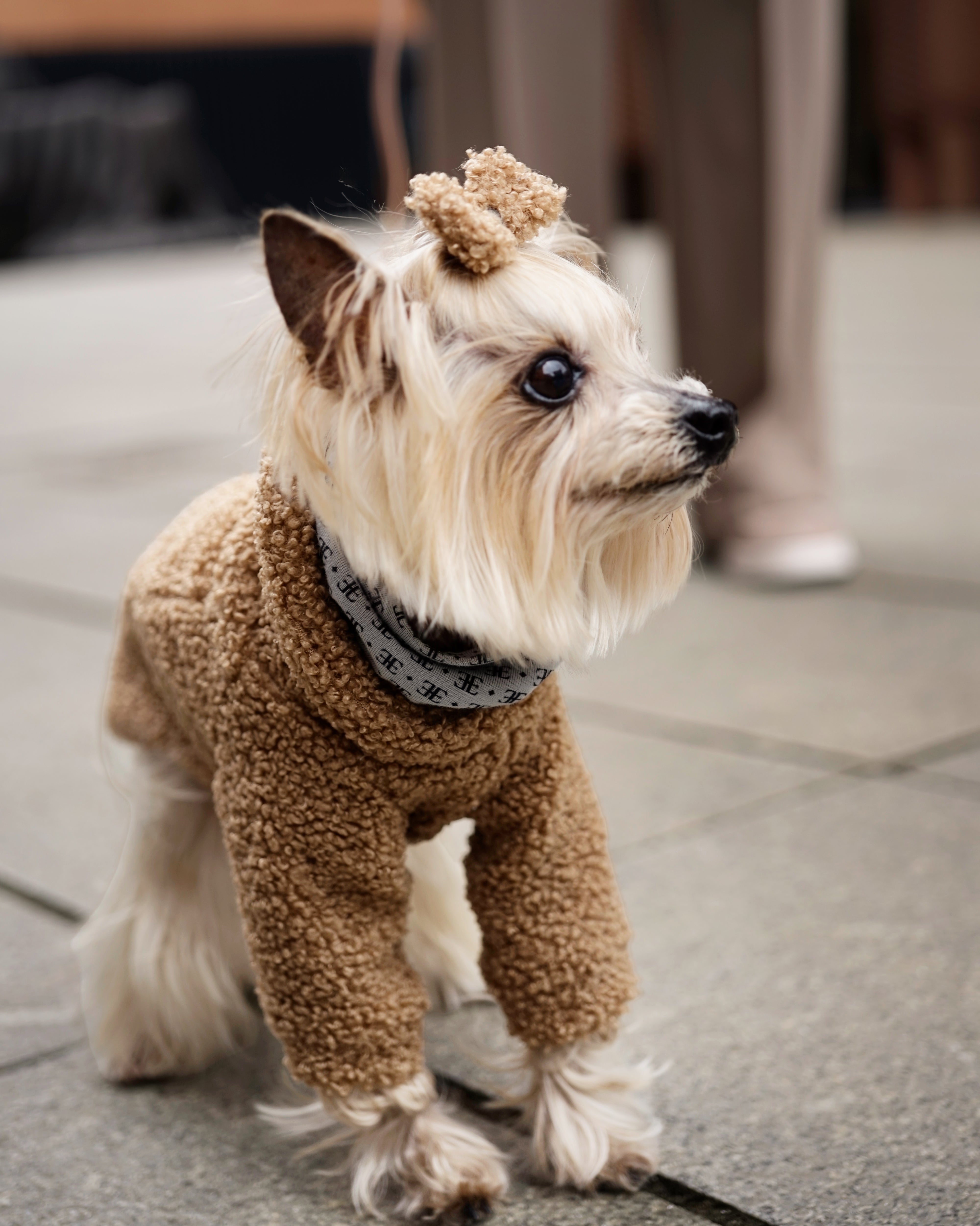 Bavente Pullover
