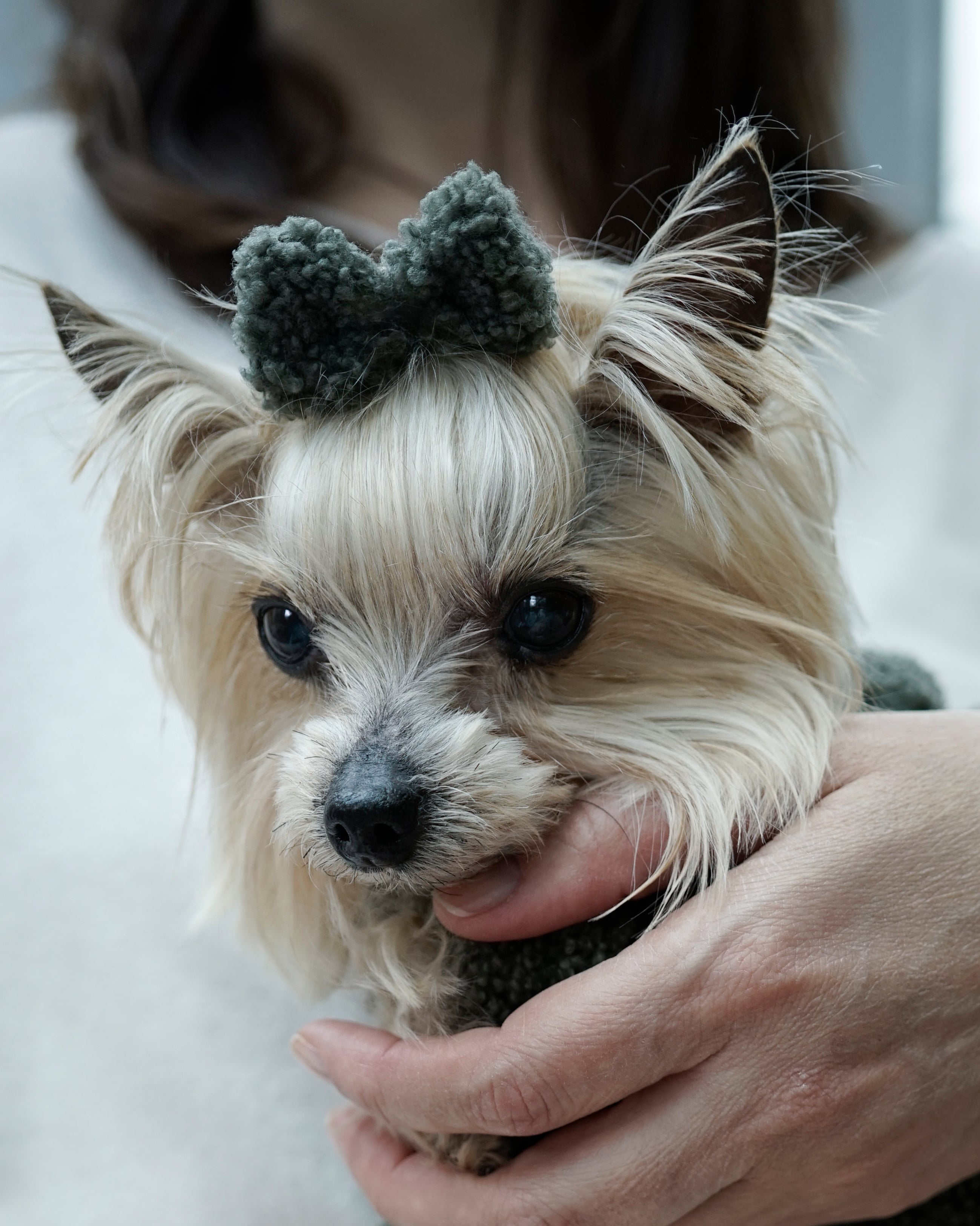 Bavente Hair Bow