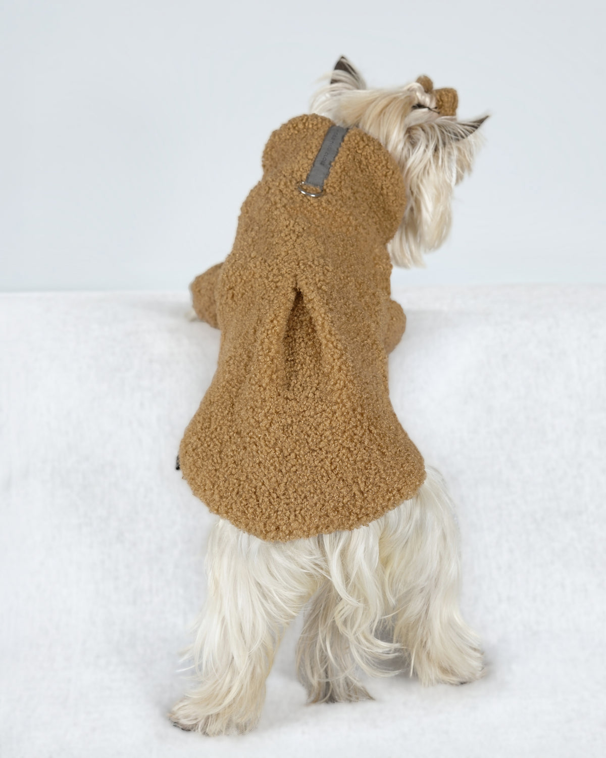 Back view of a small cream dog in a camel bouclé dress, showing the soft back pleat and suede tab