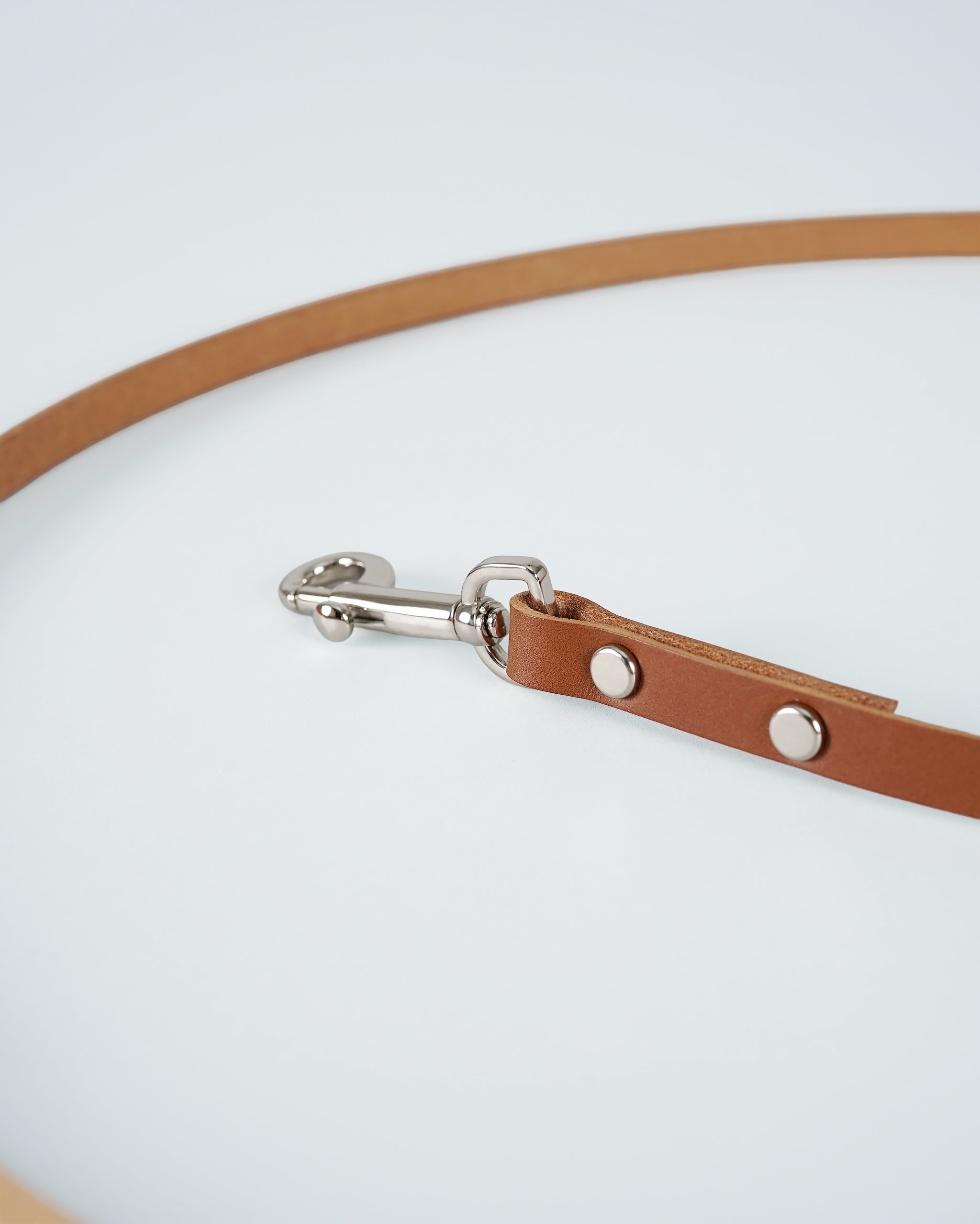 Langylia Leash