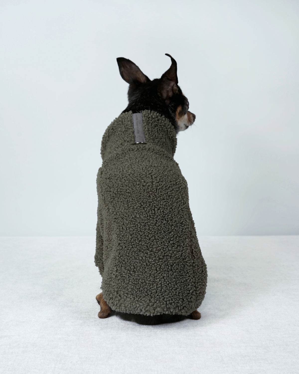 Back view of a small black and tan dog wearing a forest green bouclé pullover